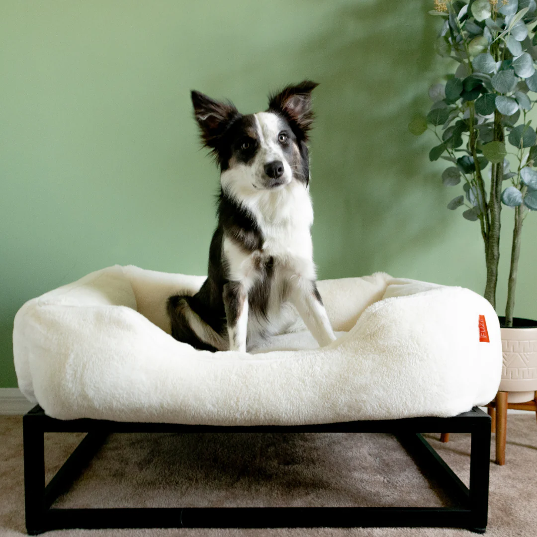 The FÜZI Dog Bed - Image 8