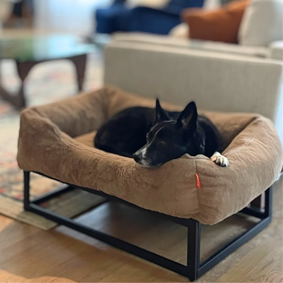 The FÜZI Dog Bed - Image 3