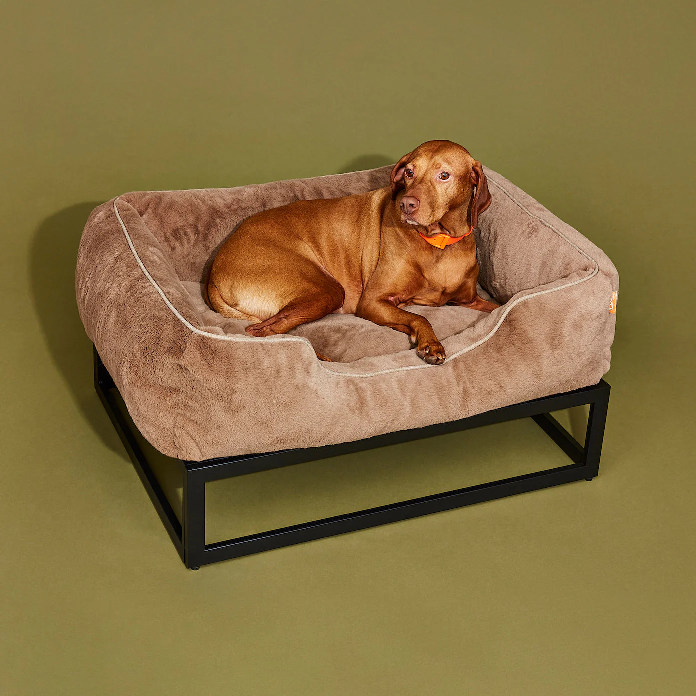 The FÜZI Dog Bed - Image 8