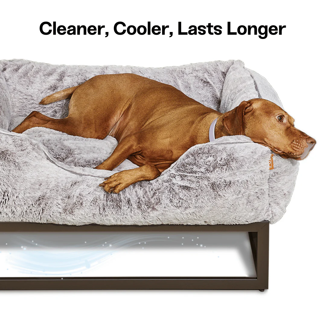 The FÜZI Dog Bed - Image 10