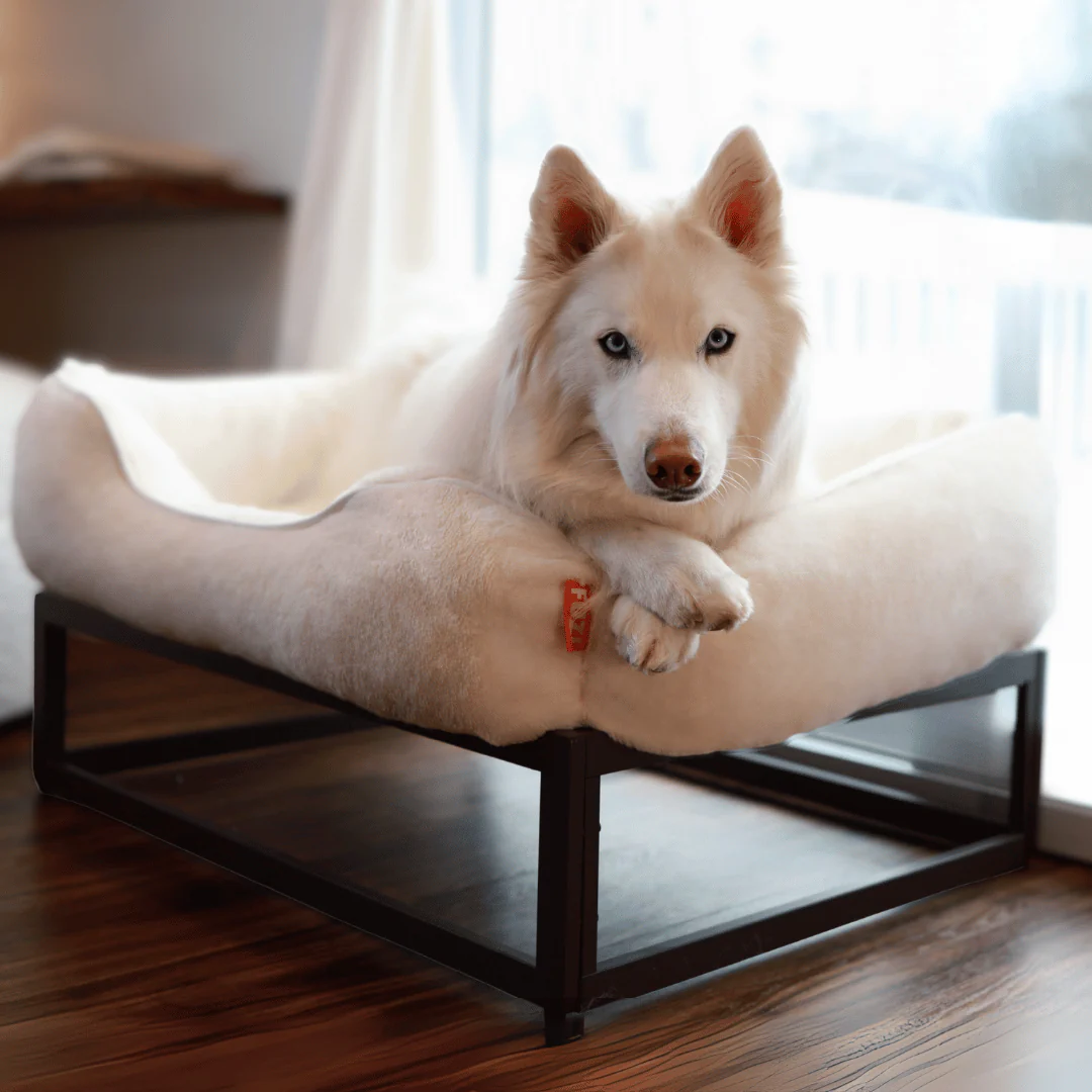 The FÜZI Dog Bed - Image 6
