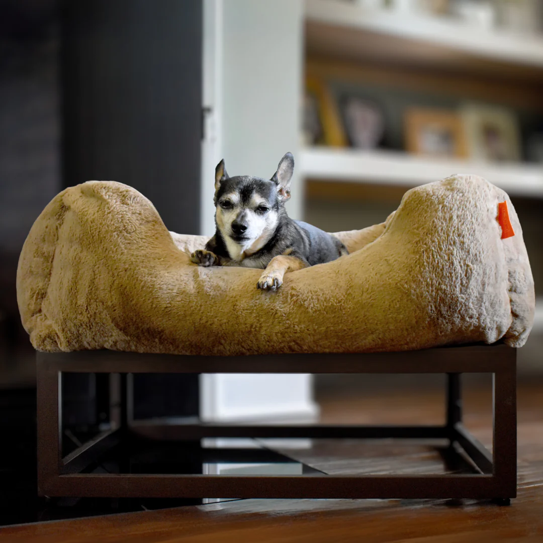 The FÜZI Dog Bed - Image 4