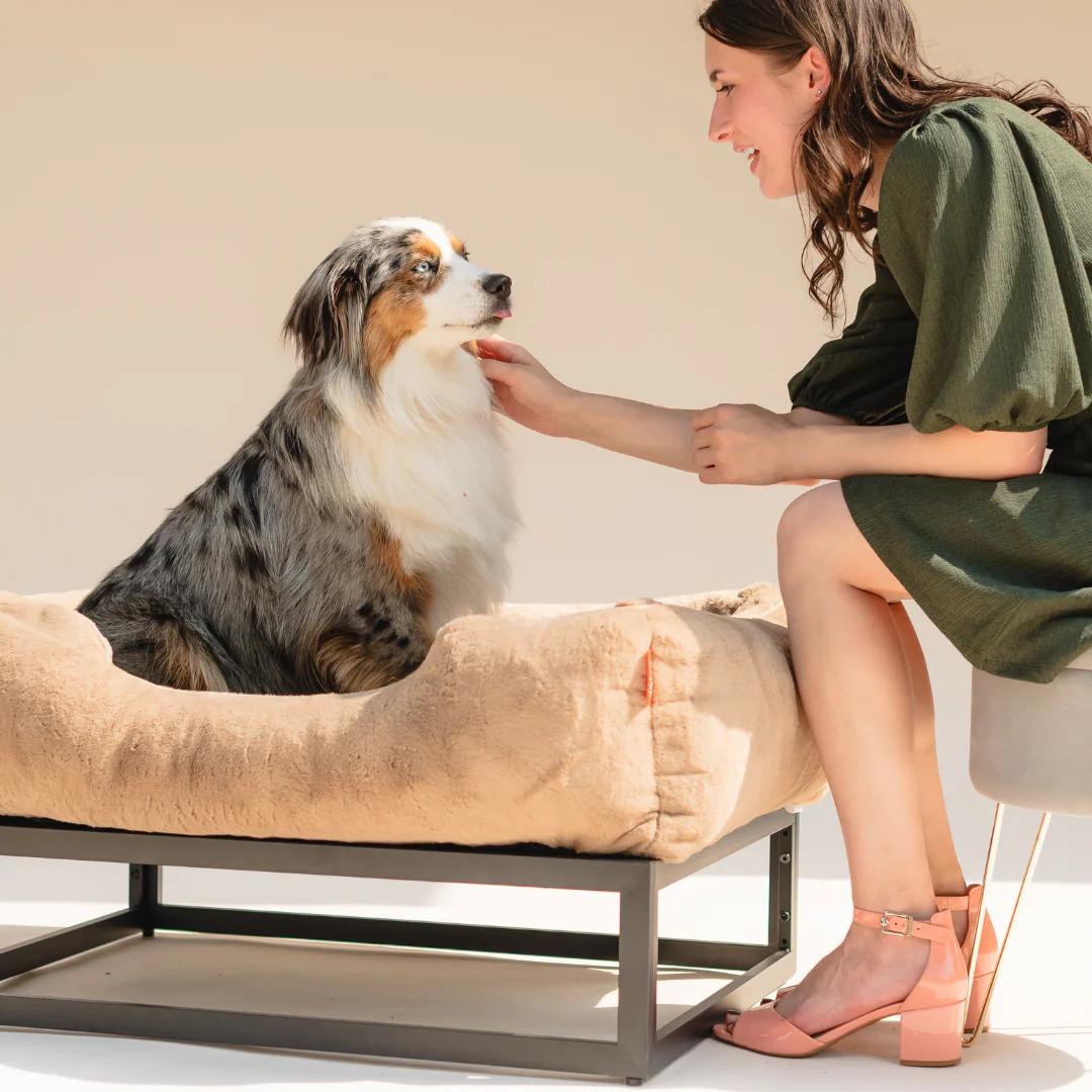 The FÜZI Dog Bed - Image 9
