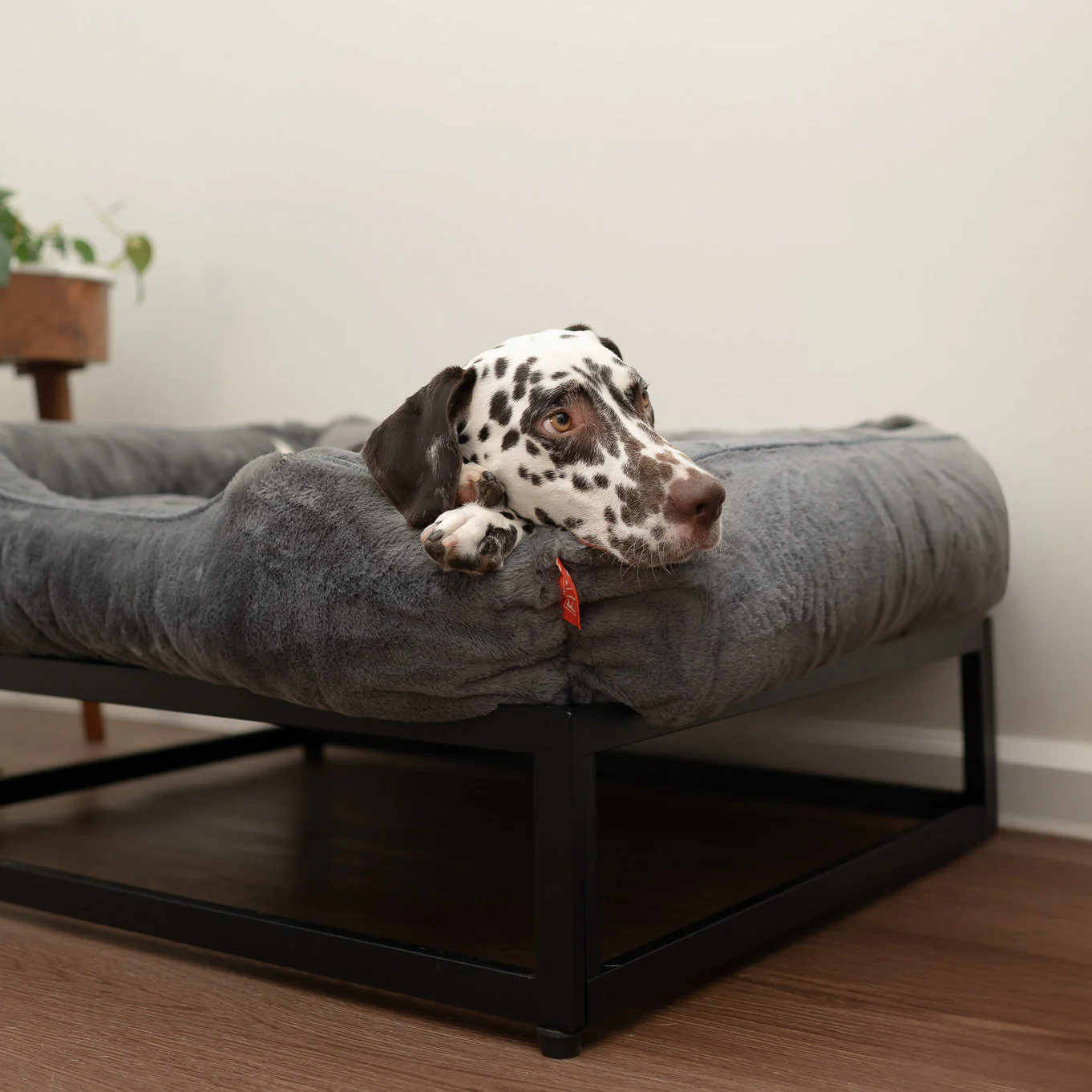 The FÜZI Dog Bed - Image 8