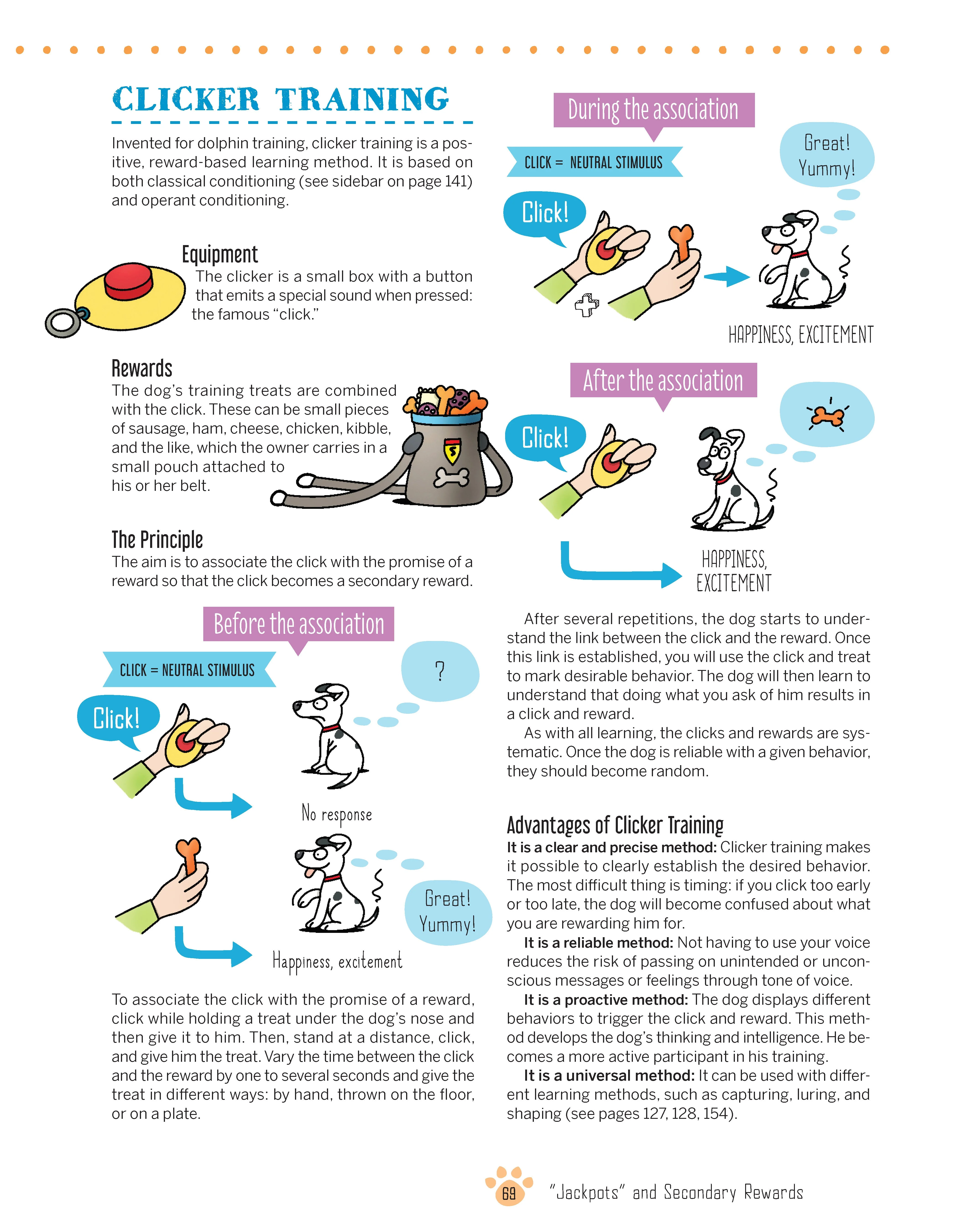 The Golden Rules of Positive Puppy Training - Image 4