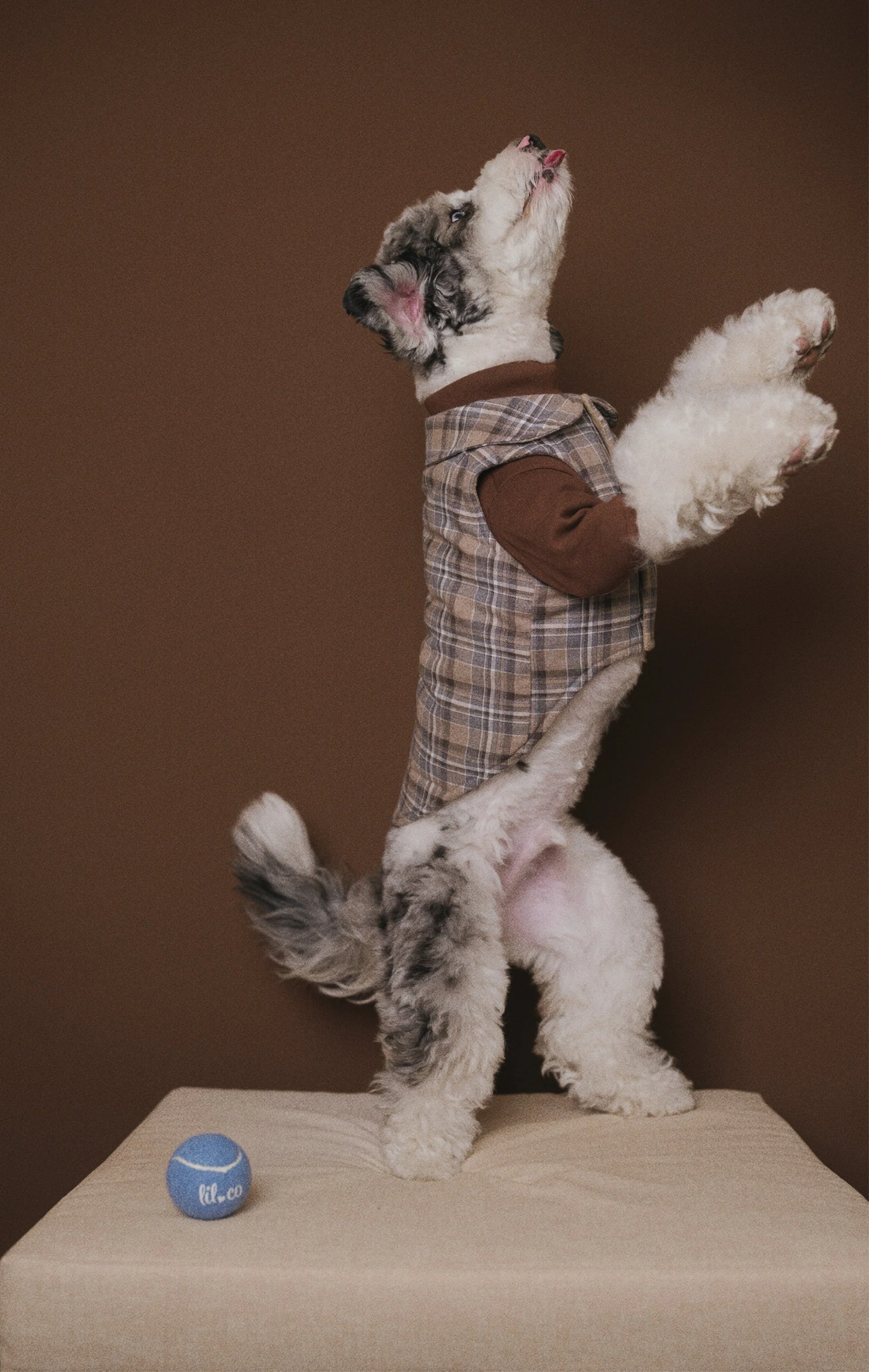 The Heirloom Turtleneck - Image 10