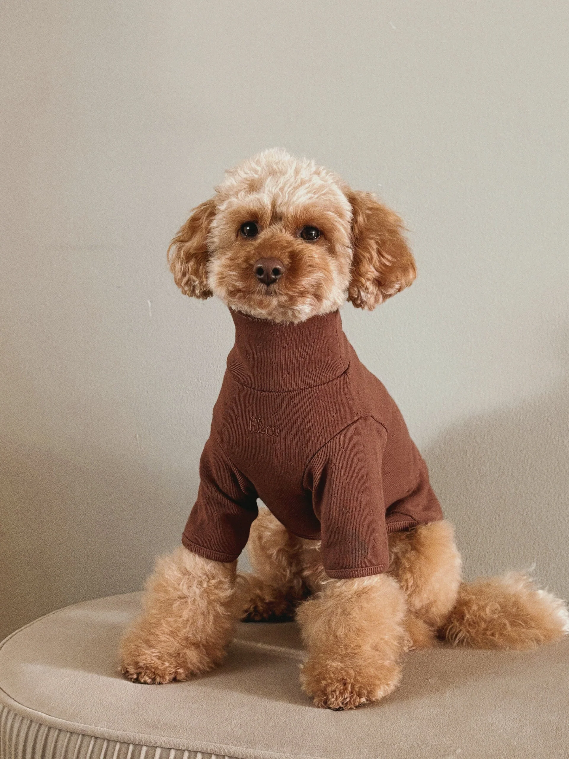 The Heirloom Turtleneck - Image 14