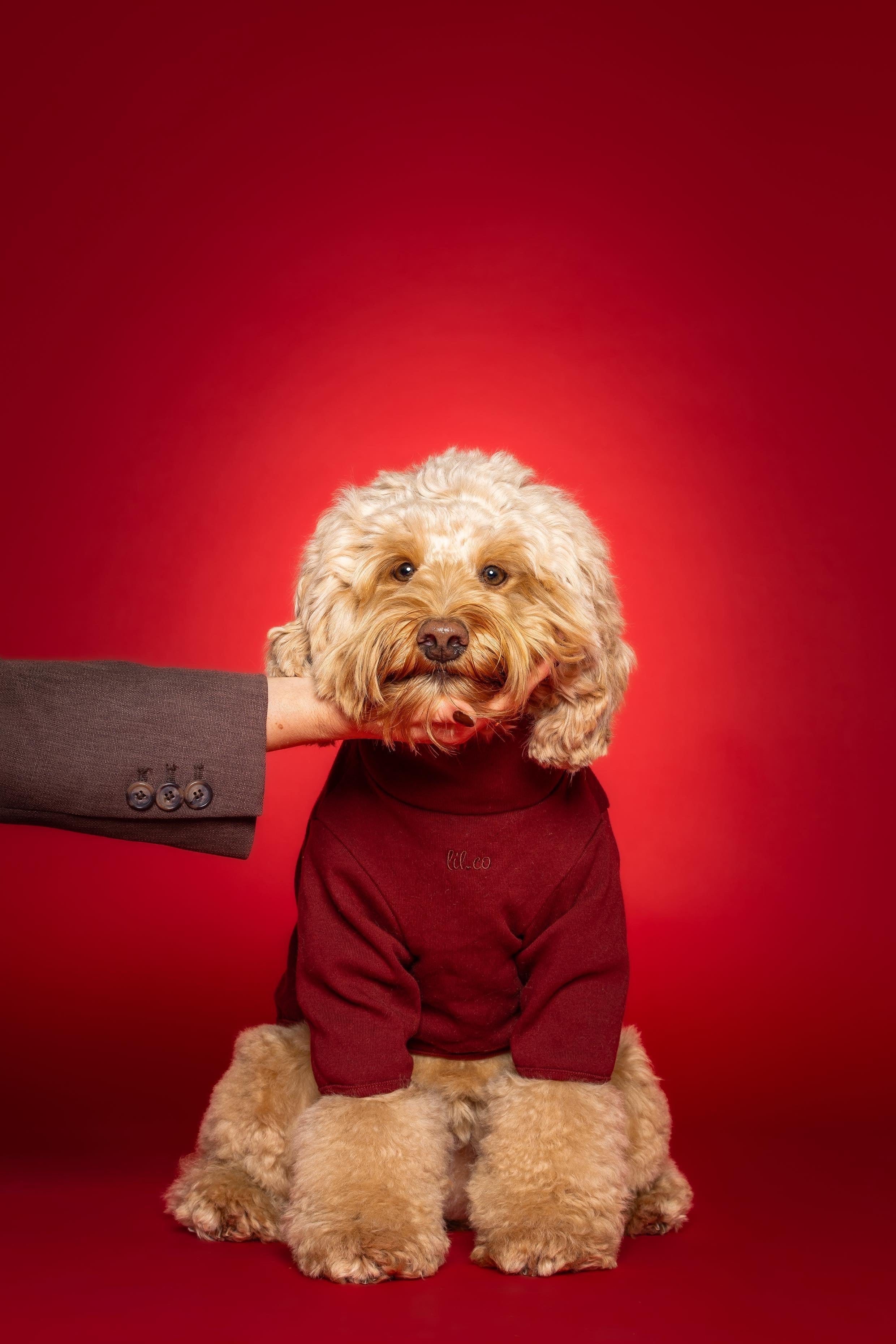 The Heirloom Turtleneck - Image 16
