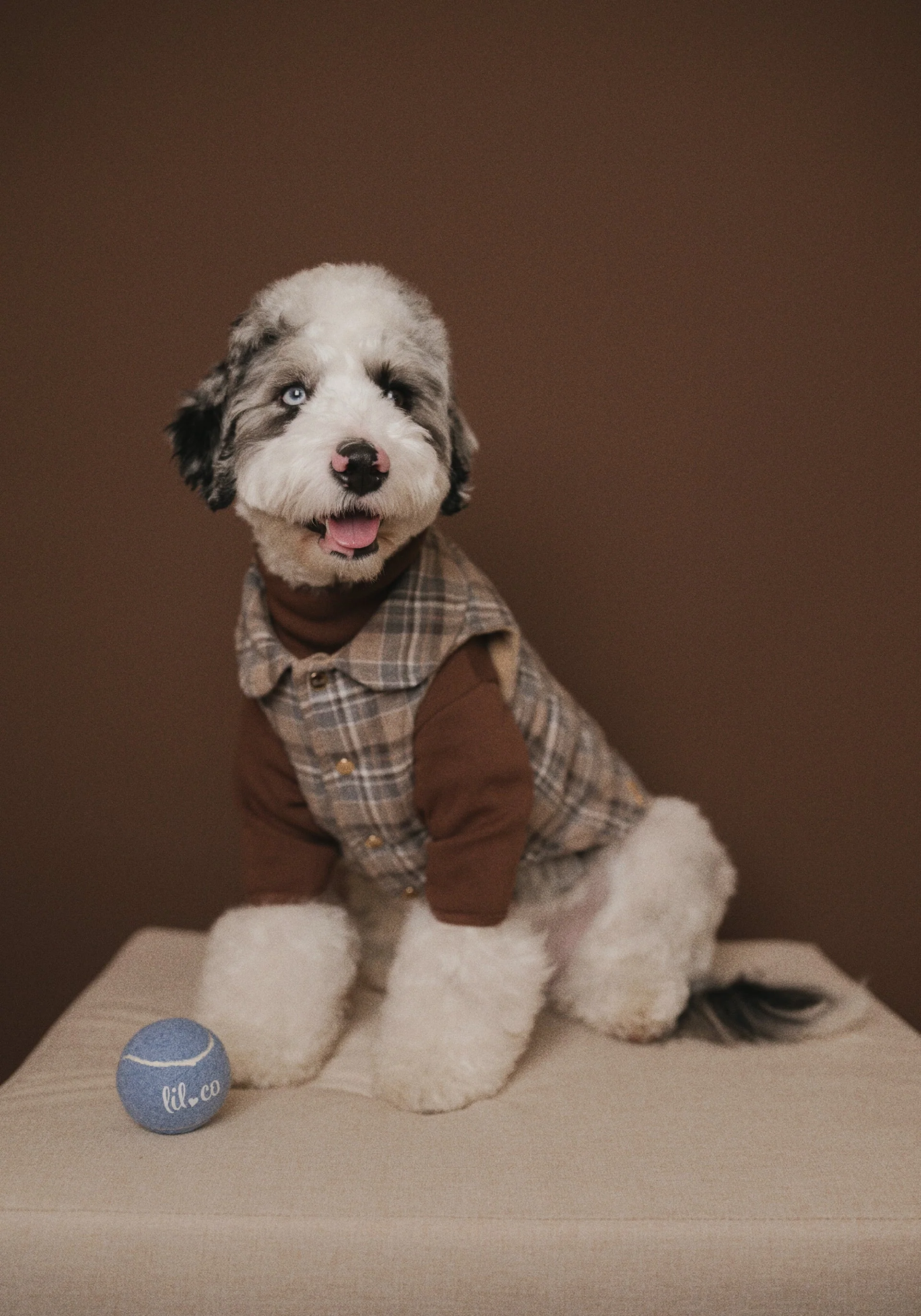 The Heirloom Turtleneck - Image 8