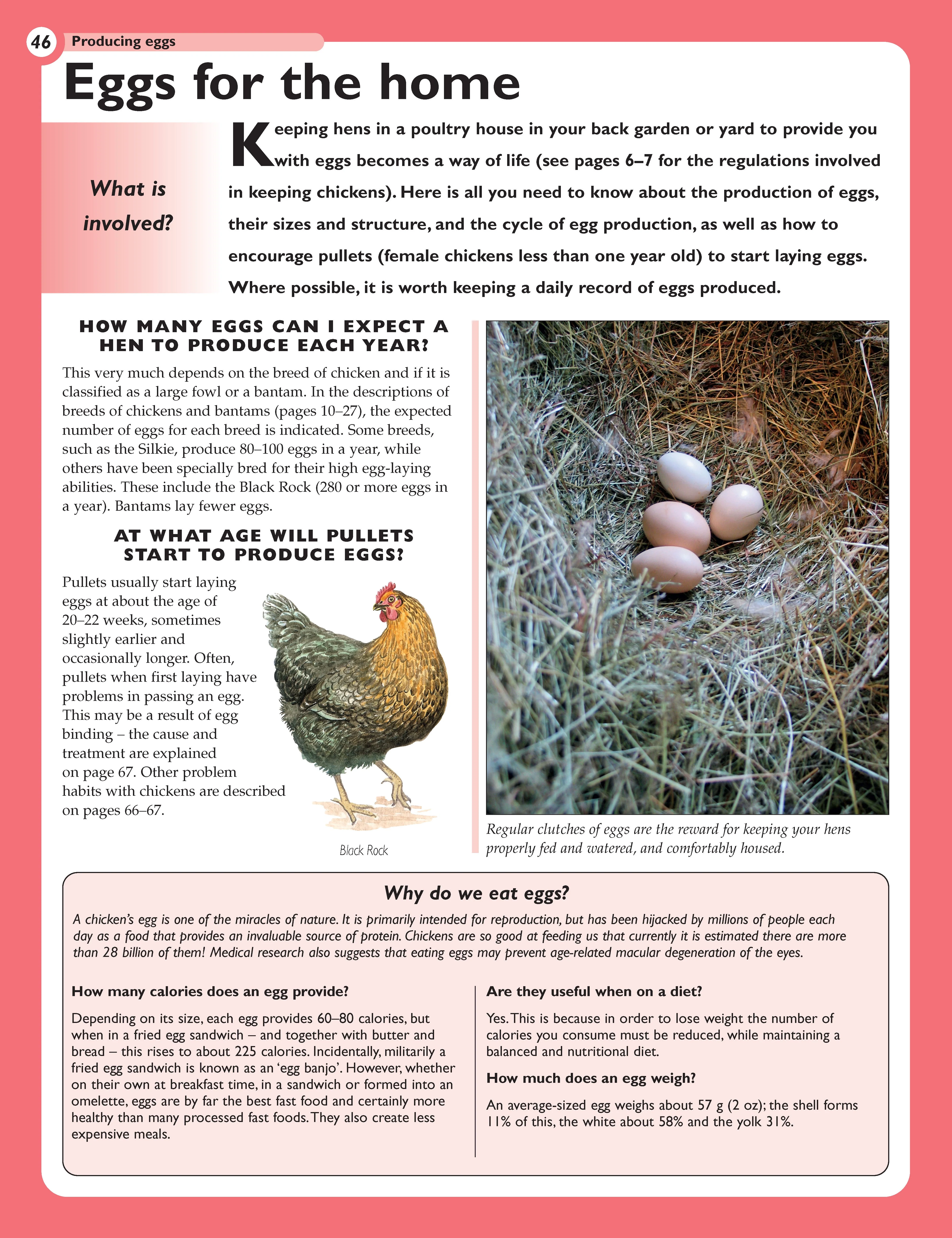 The Henkeeping Specialist - Image 7