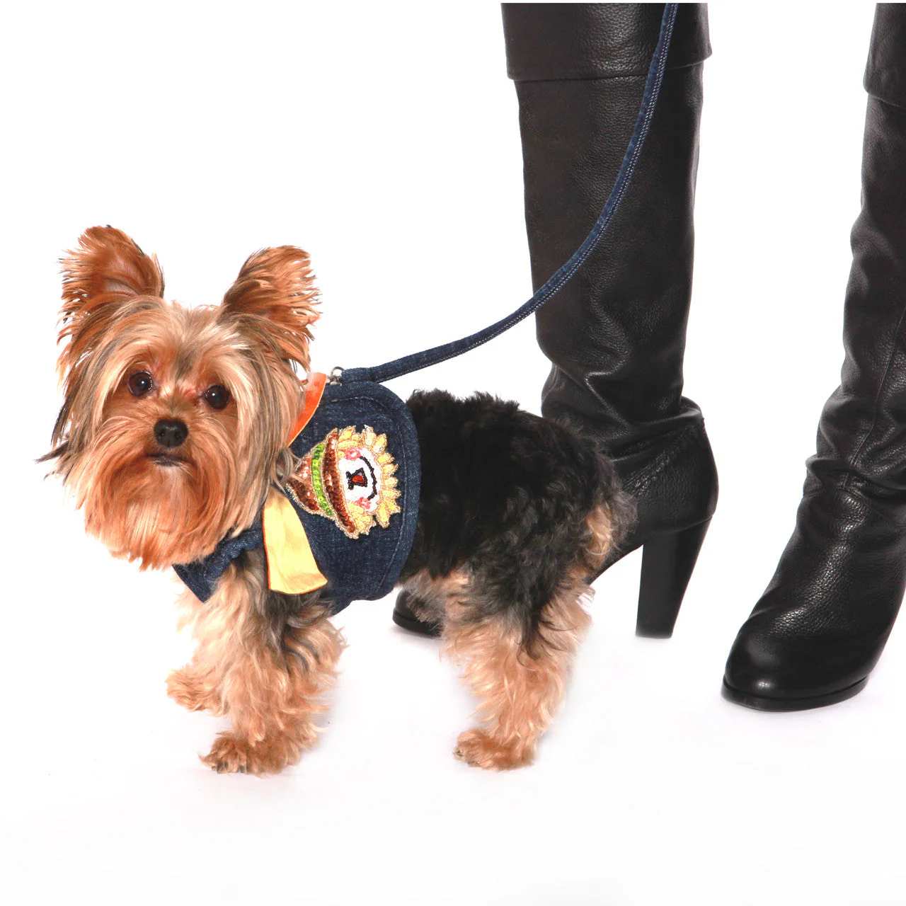 The Hollywood Silk Ties (Harness Vest Sold Separately) - Image 11