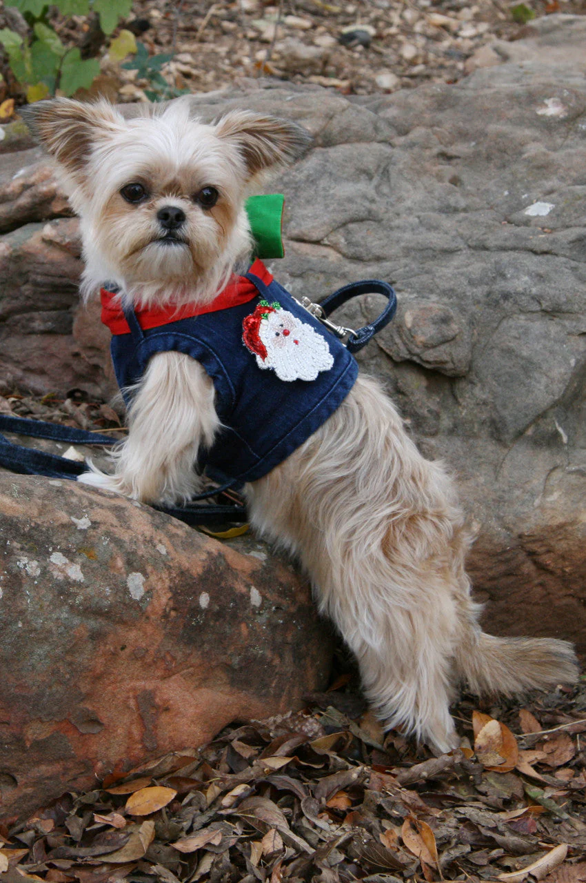 The Hollywood Silk Ties (Harness Vest Sold Separately) - Image 13