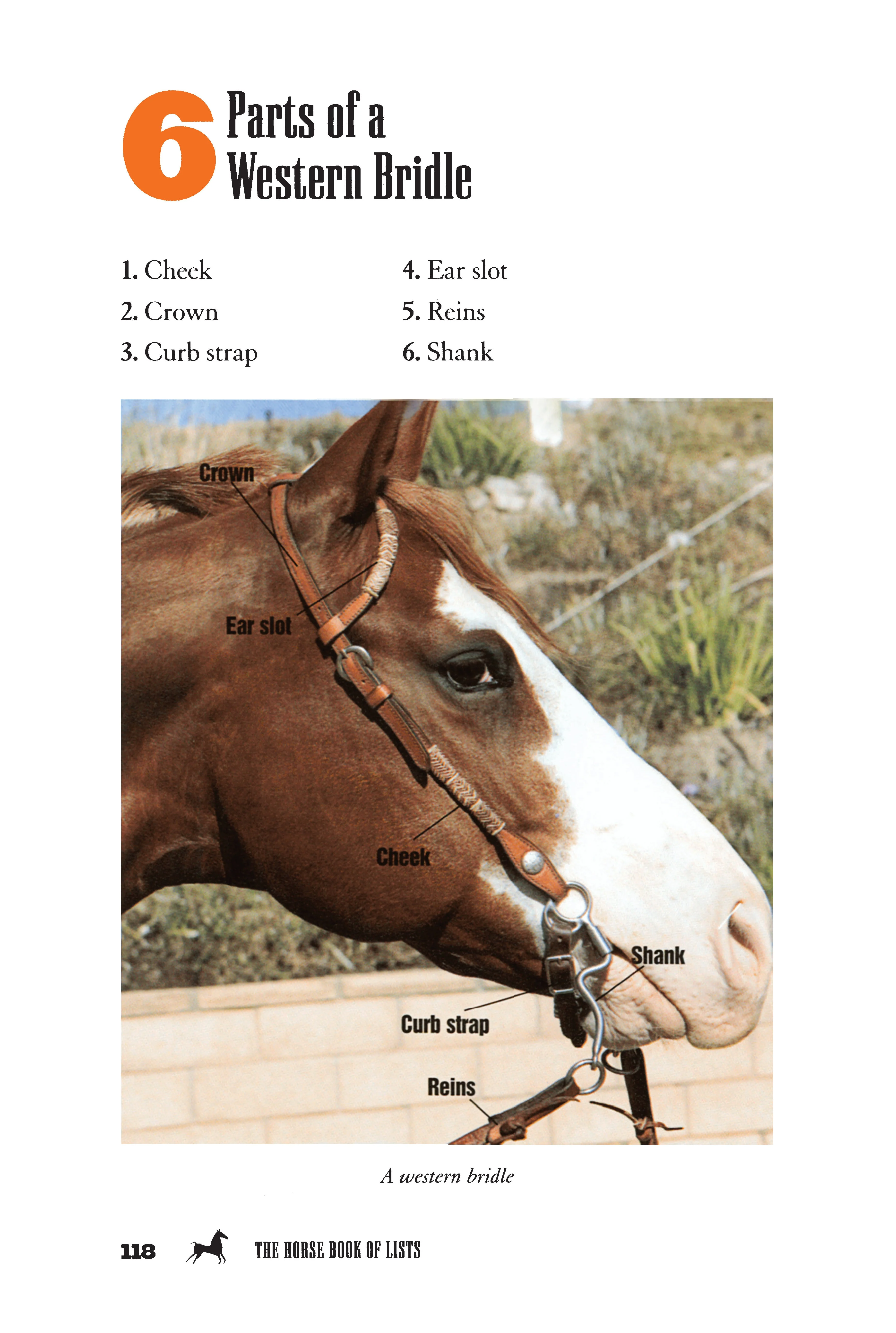 The Horse Book of Lists - Image 4
