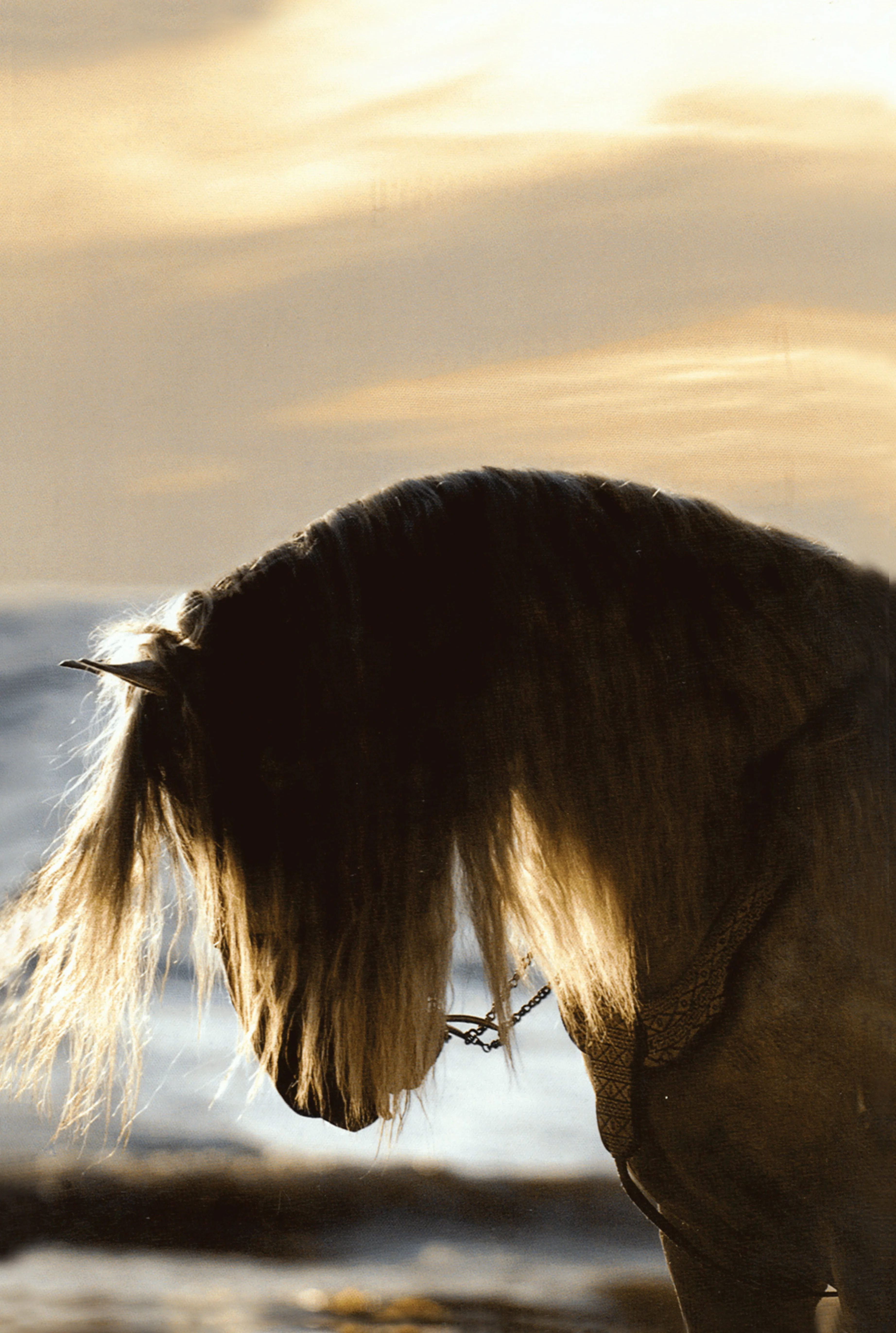 The Horse Book of Lists - Image 6