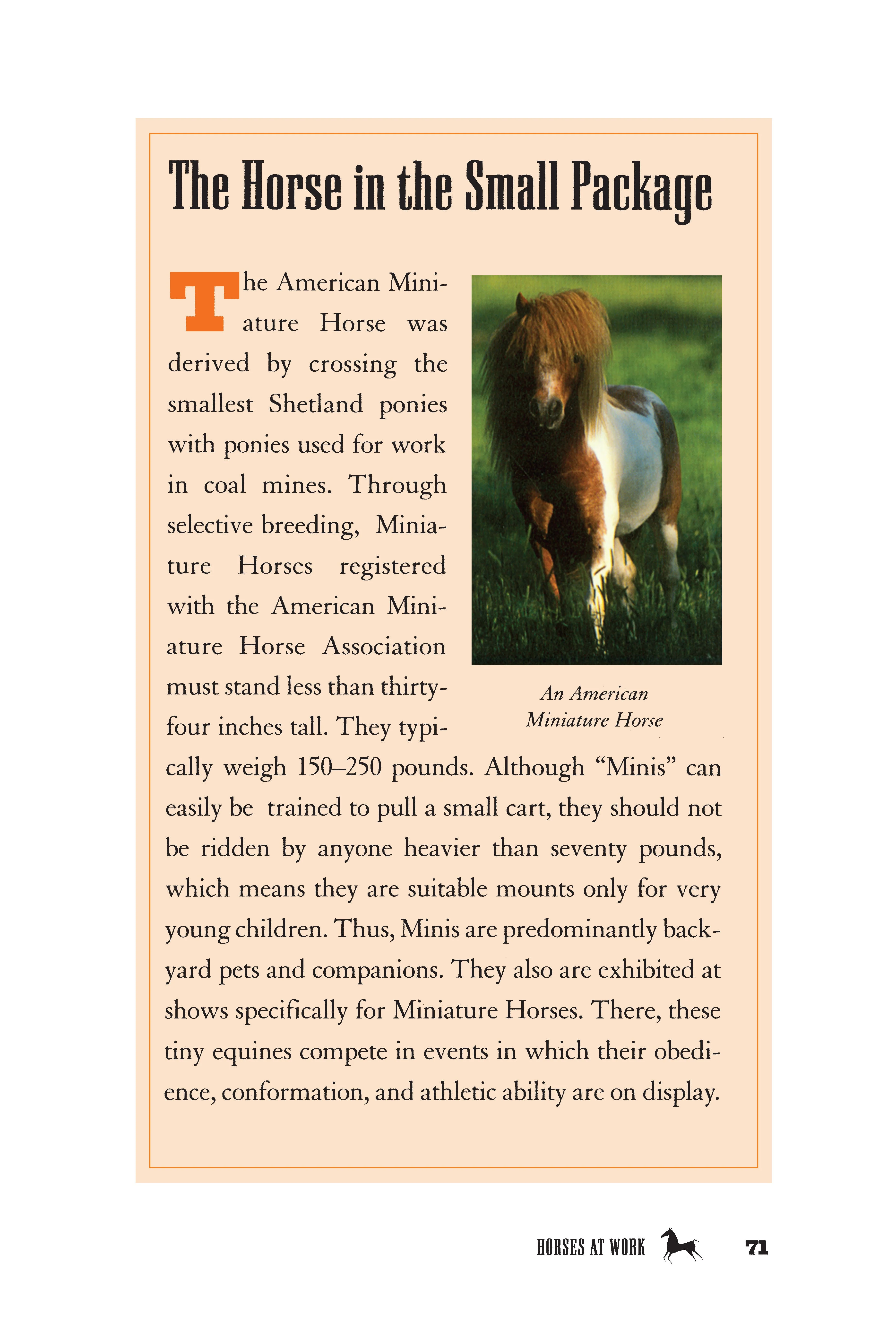 The Horse Book of Lists - Image 9