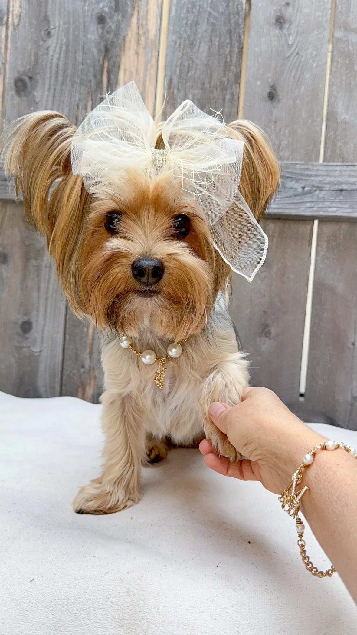 The Iconic Pearl Necklace - Image 2