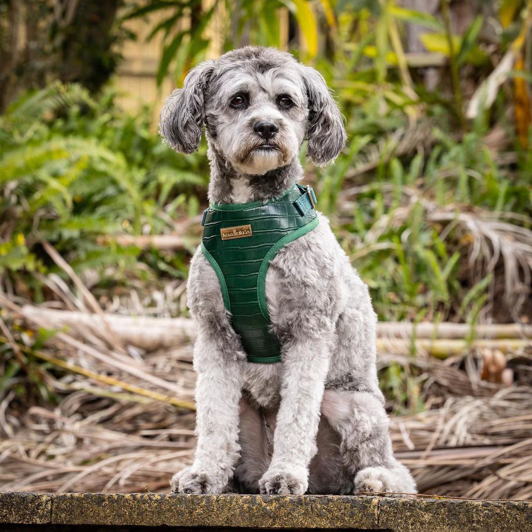 The Juliana Harness - Image 9