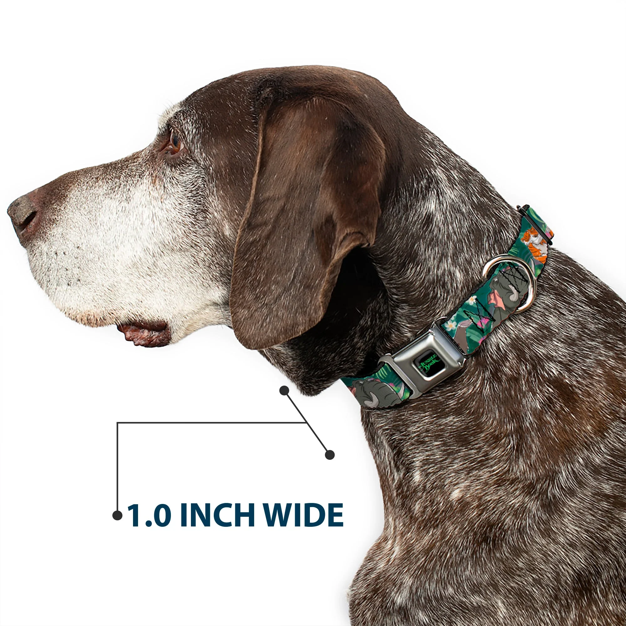 THE JUNGLE BOOK Full Color Black/Green Seatbelt Buckle Collar - The Jungle Book 8-Character Group Greens - Image 6