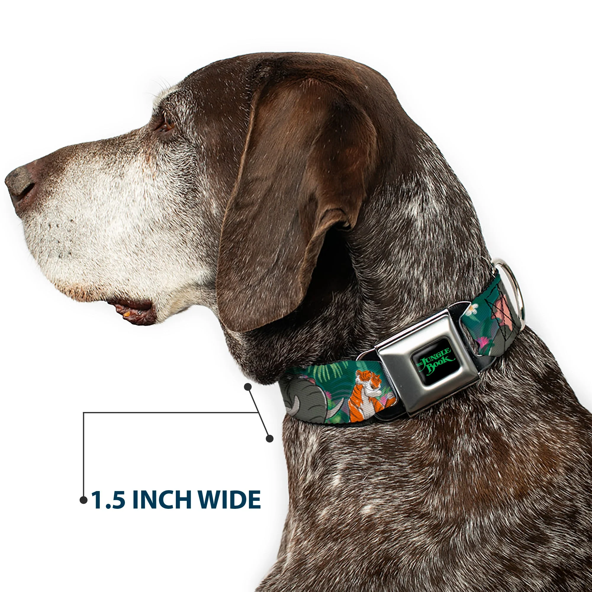 THE JUNGLE BOOK Full Color Black/Green Seatbelt Buckle Collar - The Jungle Book 8-Character Group Greens - Image 7