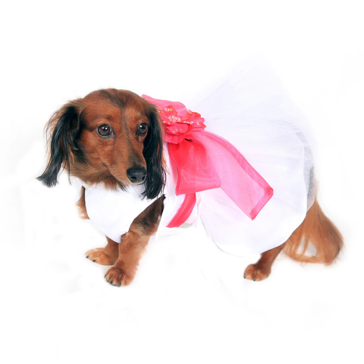 The Madeleine Dog Harness Dress with Hot Pink Sash - Image 3