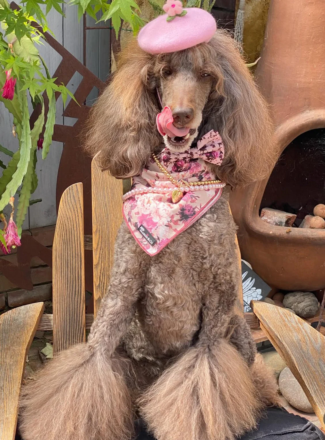 The Maggie Cotton Bandana - Image 3