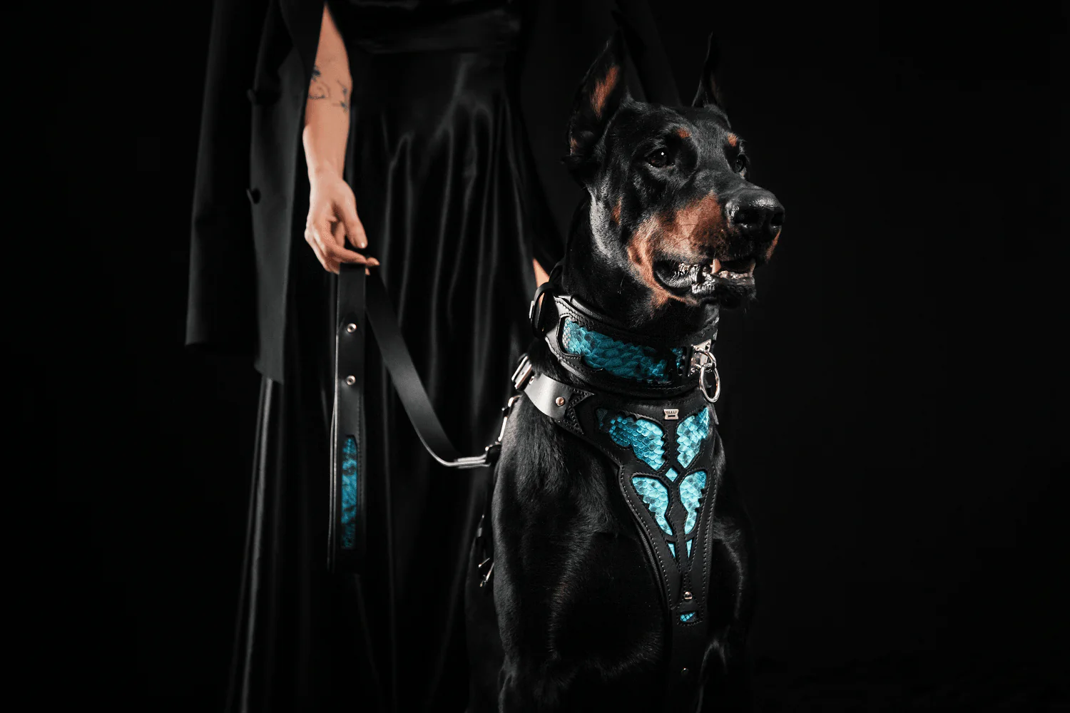 Bestia Dog Gear Genuine Leather Dog Collar - Image 4