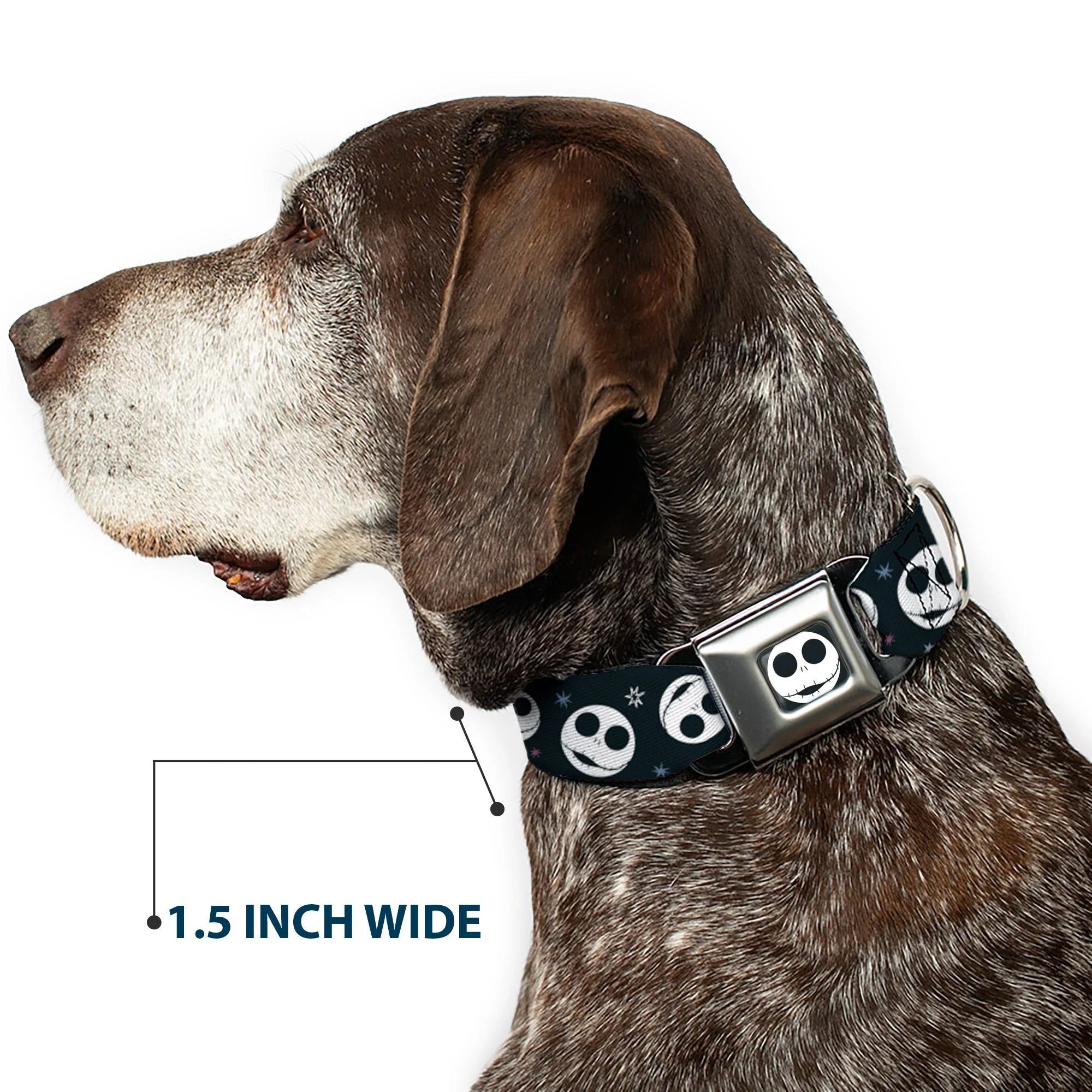The Nightmare Before Christmas Jack Smiling Full Color Black/White Seatbelt Buckle Collar - The Nightmare Before Christmas Smiling Jack Moon and Stars Black - Image 7