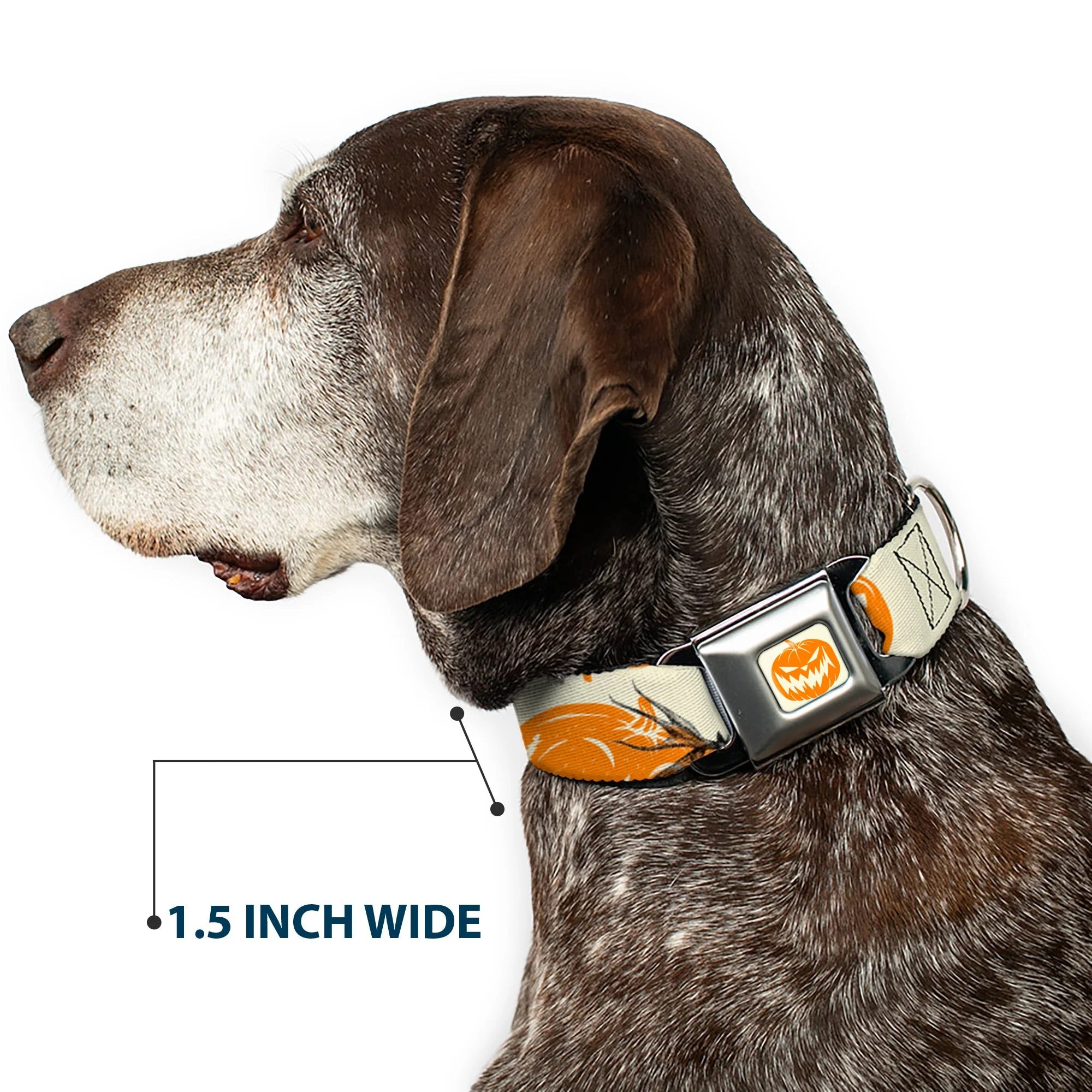 The Nightmare Before Christmas Pumpkin Ivory/Orange Seatbelt Buckle Collar - The Nightmare Before Christmas Jack Pose and Pumpkins Collage Ivory/Orange/Black - Image 7