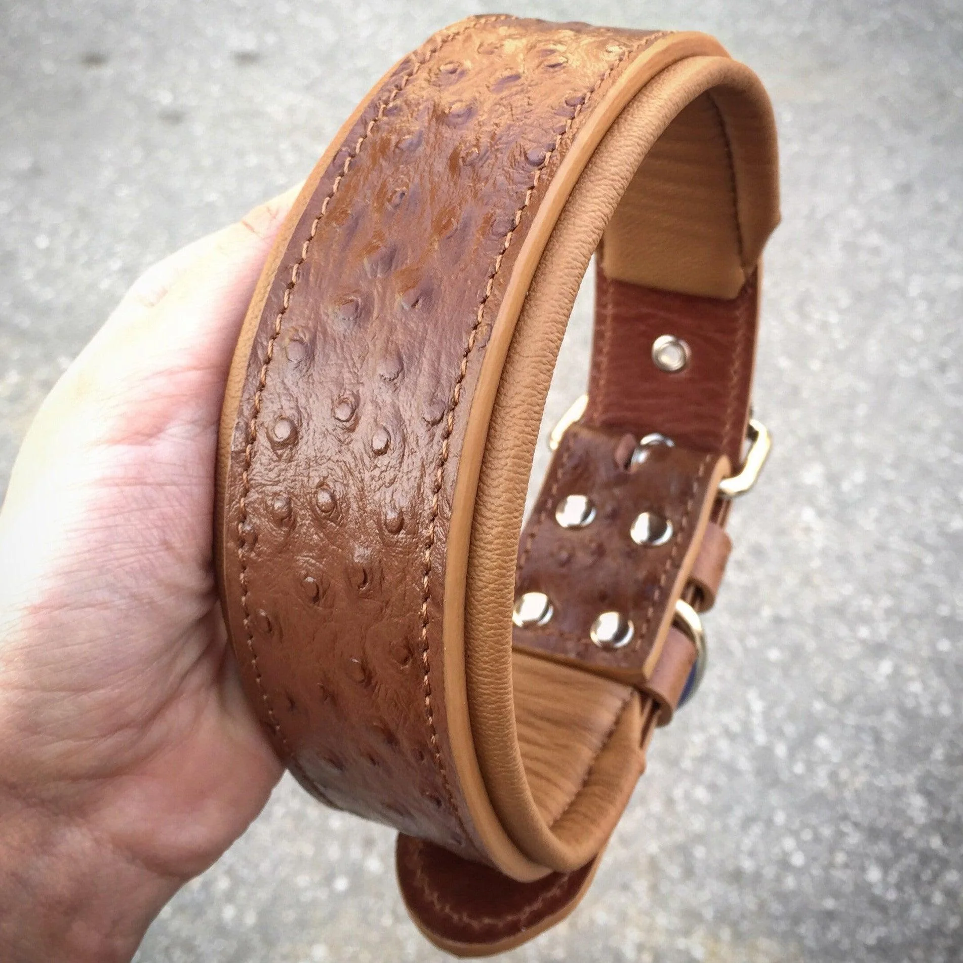 Bestia Dog Gear Genuine Leather Dog Collar - Image 2