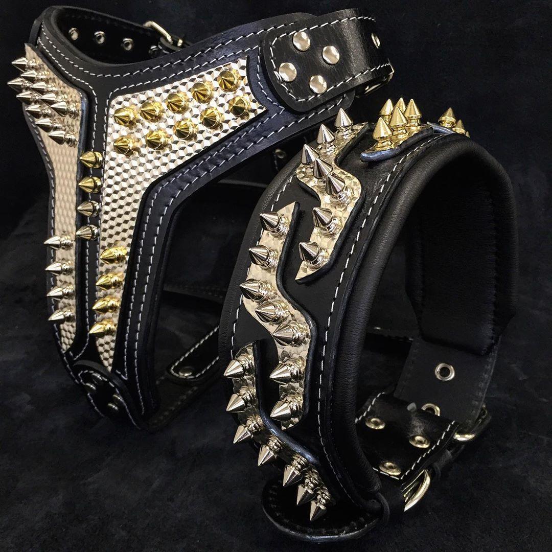 Bestia Dog Gear Genuine Leather Dog Collar - Image 3