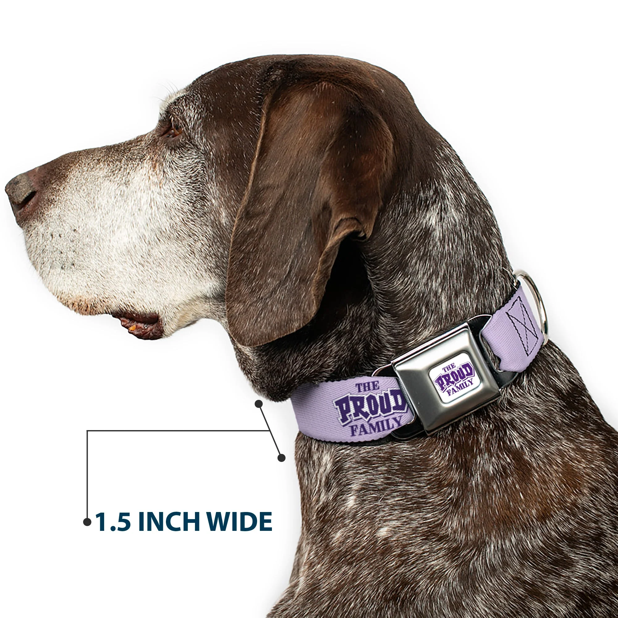 THE PROUD FAMILY Title Logo Full Color White/Purple Seatbelt Buckle Collar - THE PROUD FAMILY Title Logo Purples - Image 7
