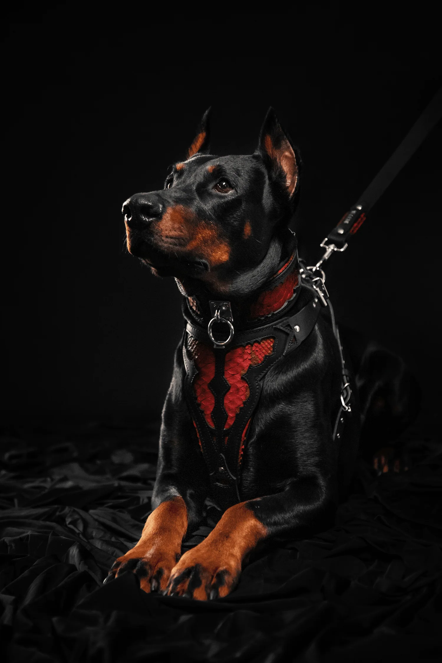Bestia Dog Gear Genuine Leather Dog Collar - Red - Image 3