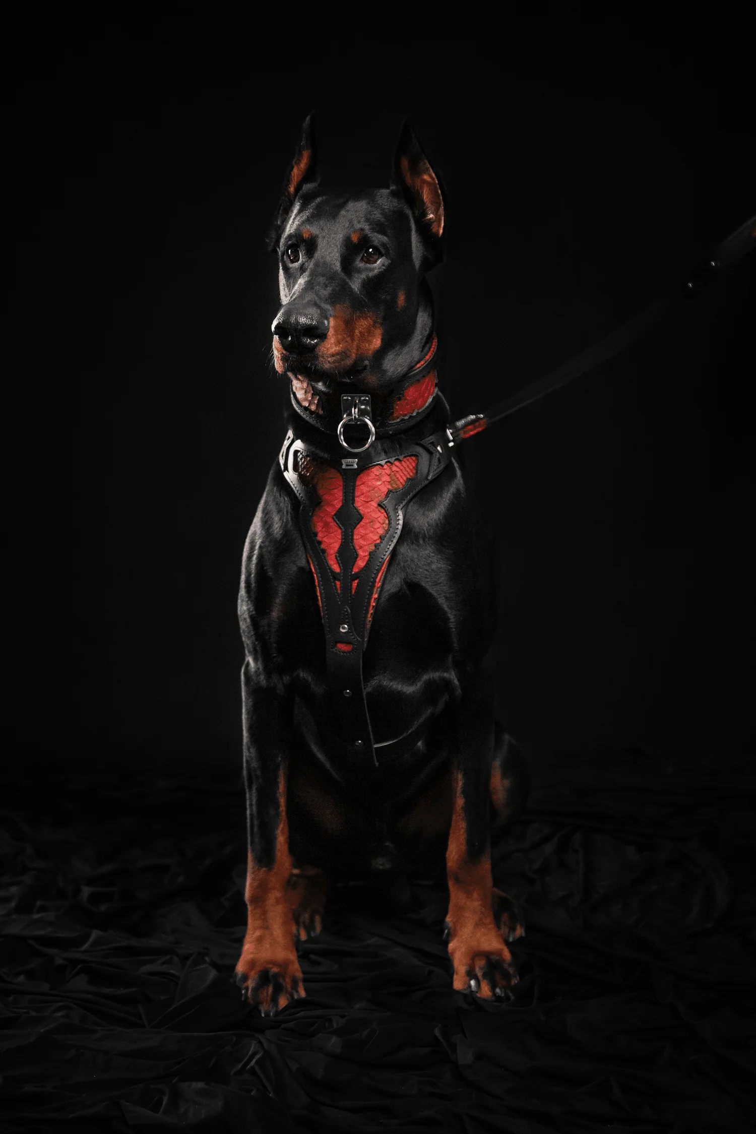Bestia Dog Gear Genuine Leather Dog Collar - Red - Image 8