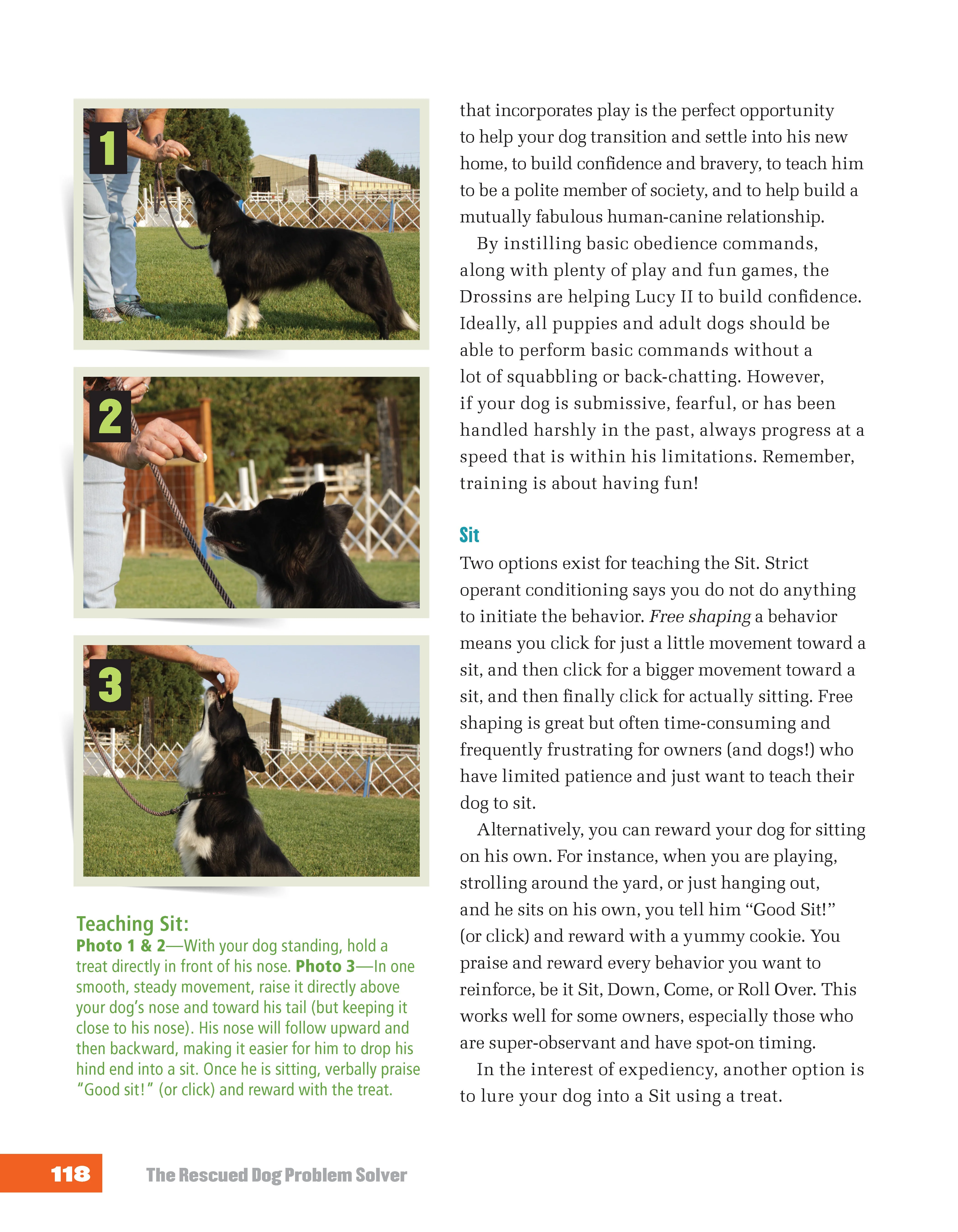 The Rescued Dog Problem Solver - Image 5