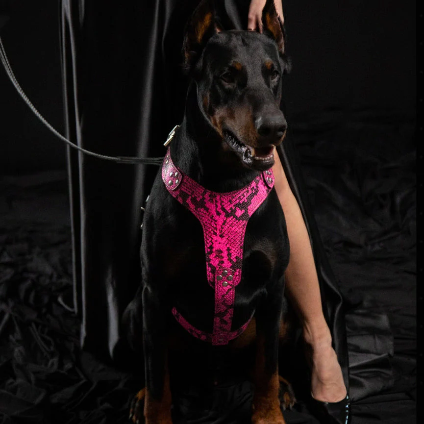 Bestia Dog Gear Genuine Leather Dog Harness - Pink/M - Image 2