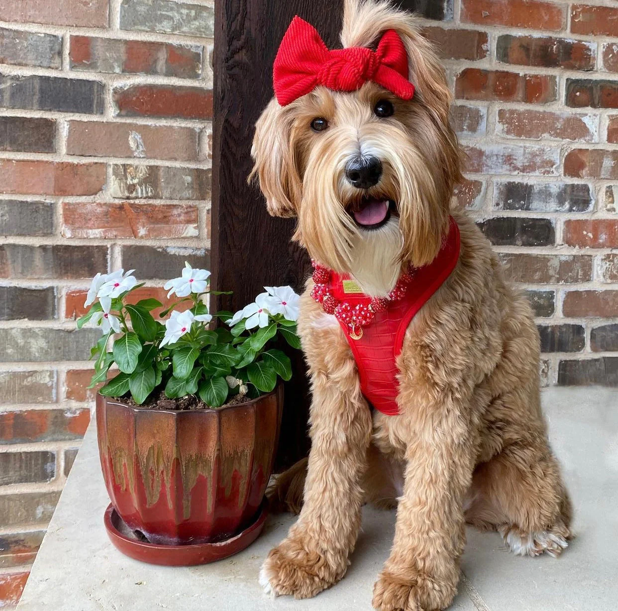 The Ruby Harness