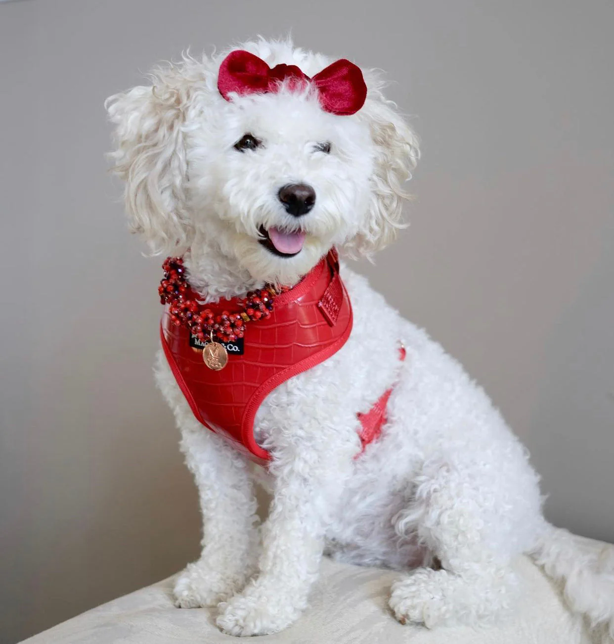 The Ruby Harness - Image 3