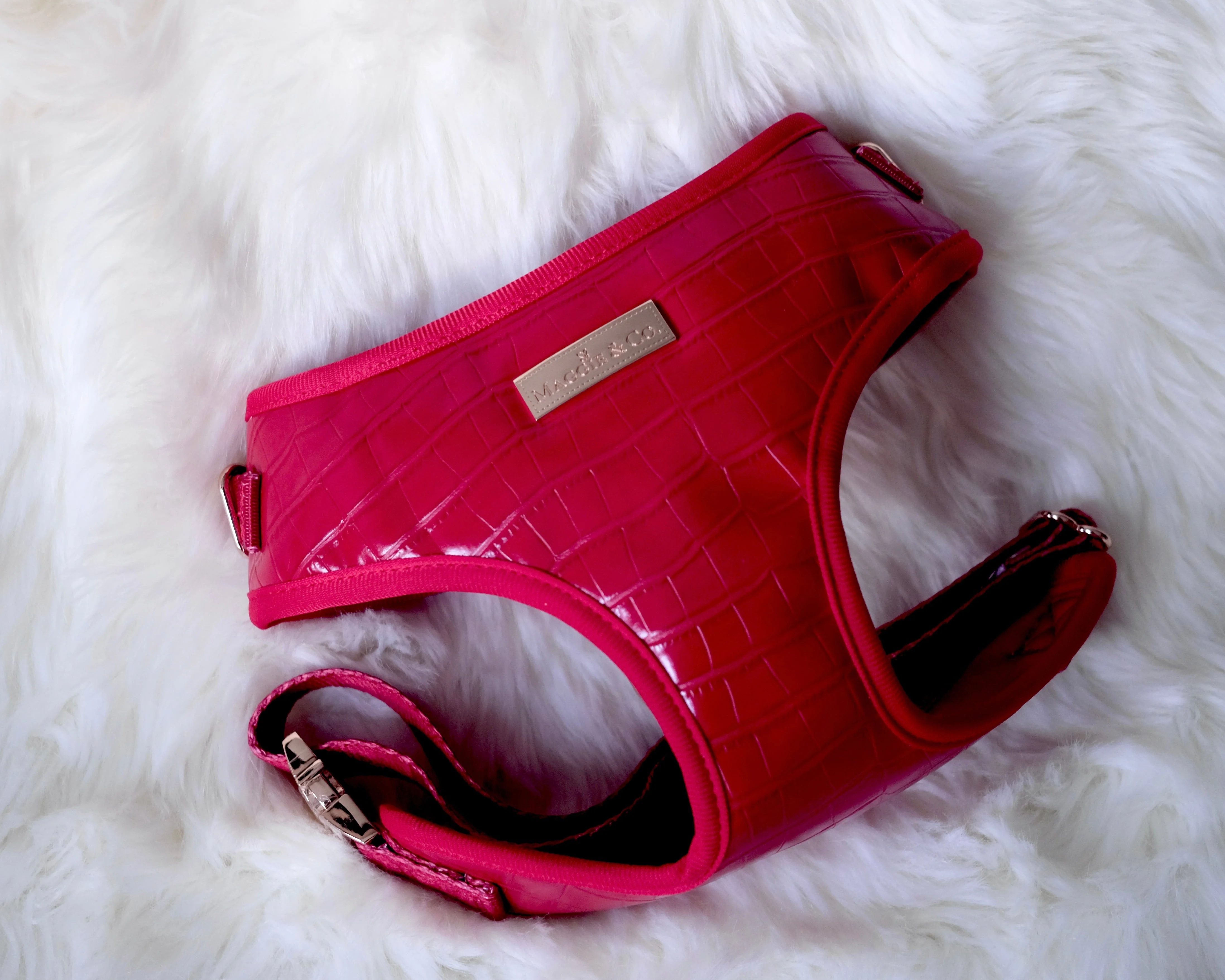 The Ruby Harness - Image 4