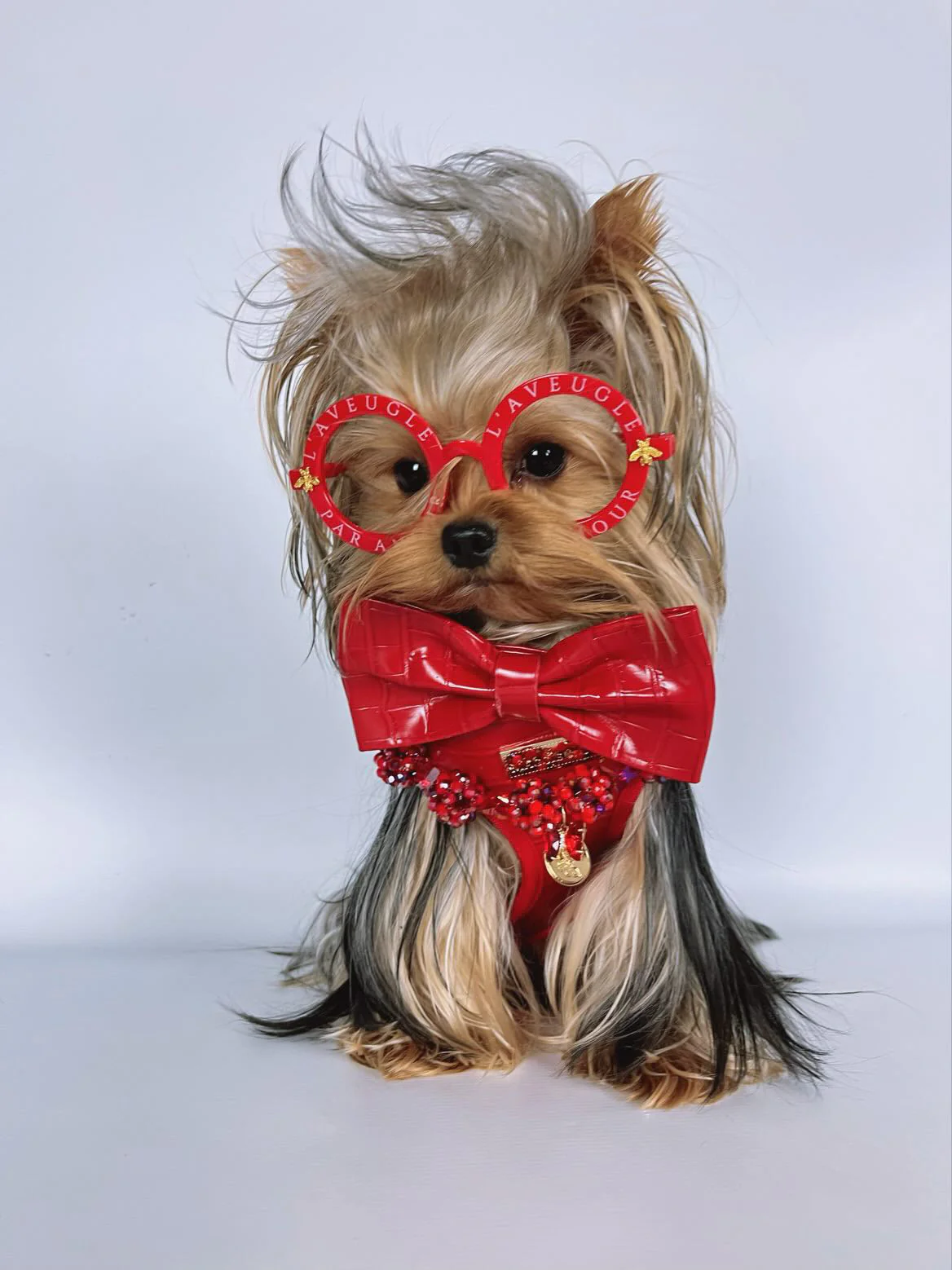 The Ruby Harness - Image 6