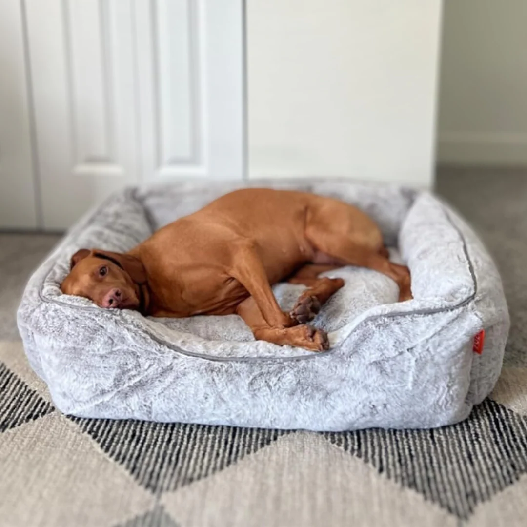 The Sammy Bolster Dog Bed - Image 2