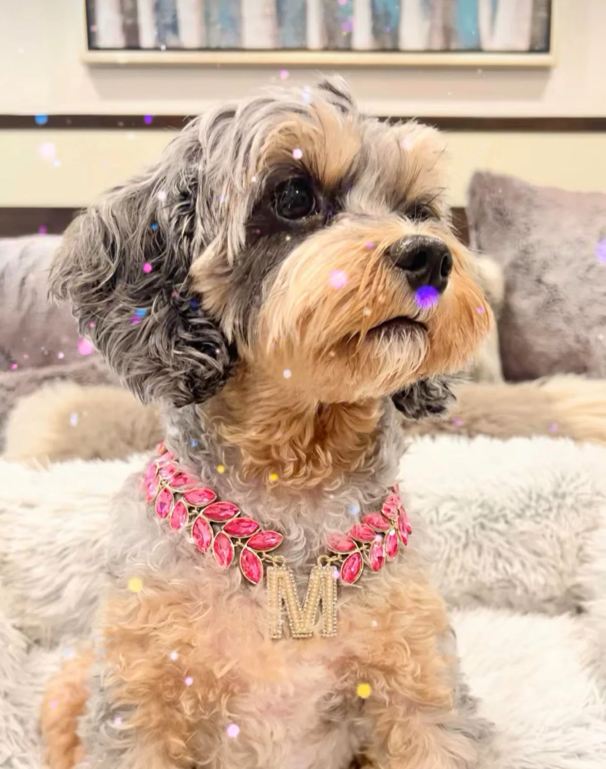 The Shanon Necklace - Image 7