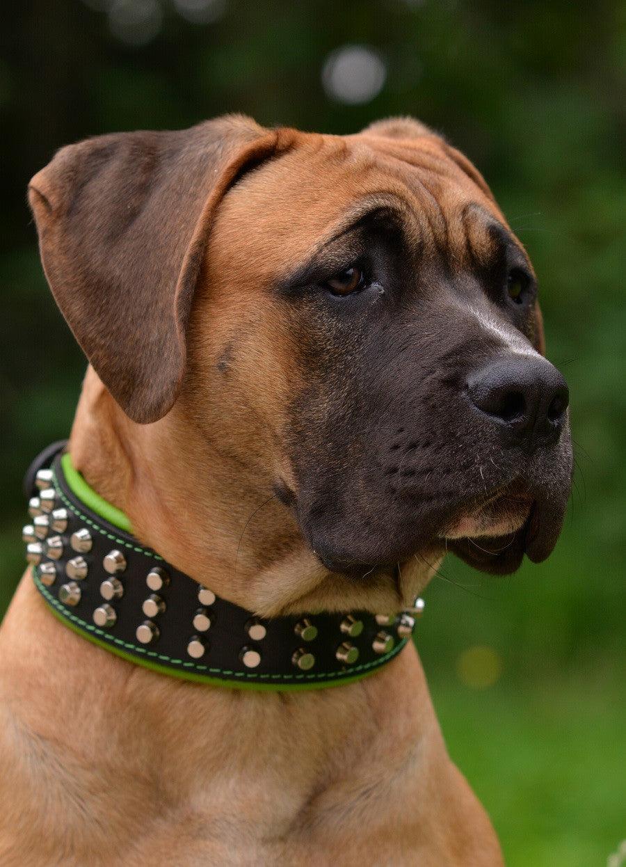 Bestia Dog Gear Genuine Leather Dog Collar - Green - Image 7