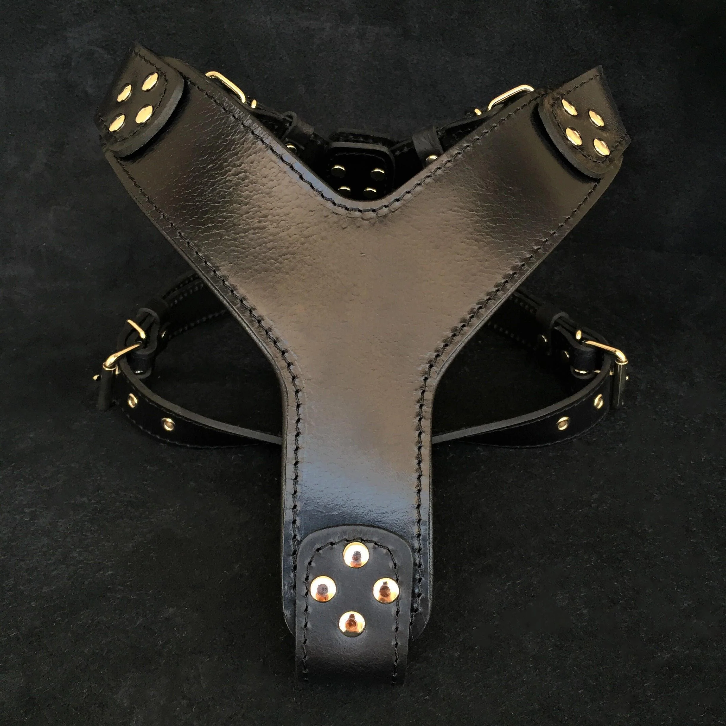 Bestia Dog Gear Genuine Leather Dog Harness - Black/M