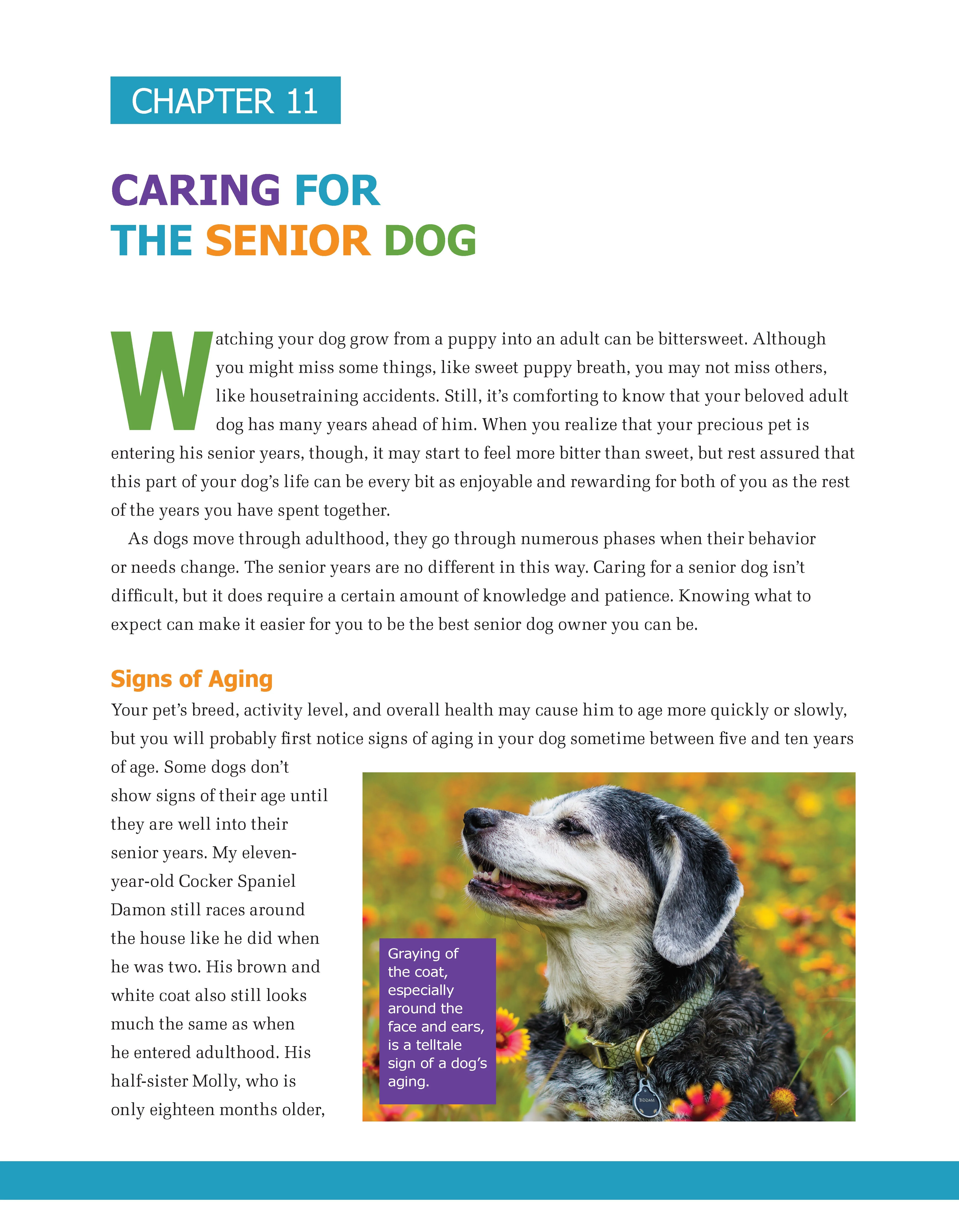 The Ultimate Guide to Dog Care - Image 10