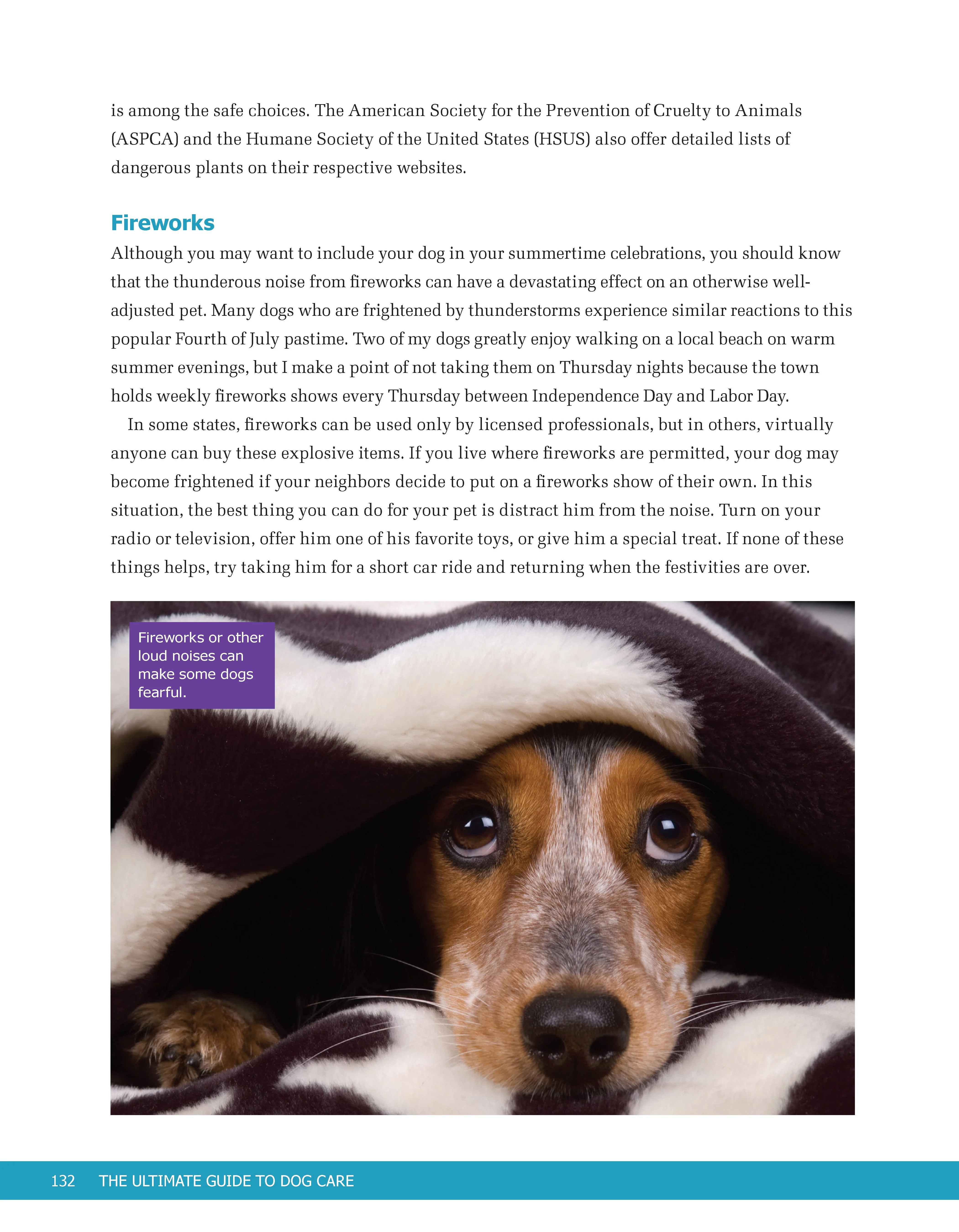 The Ultimate Guide to Dog Care - Image 11