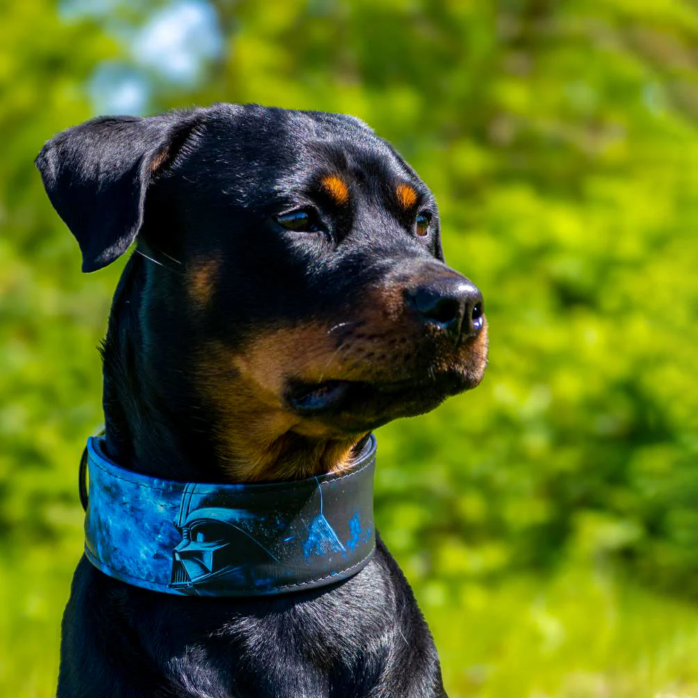 The Vader Limited Collar - Image 4