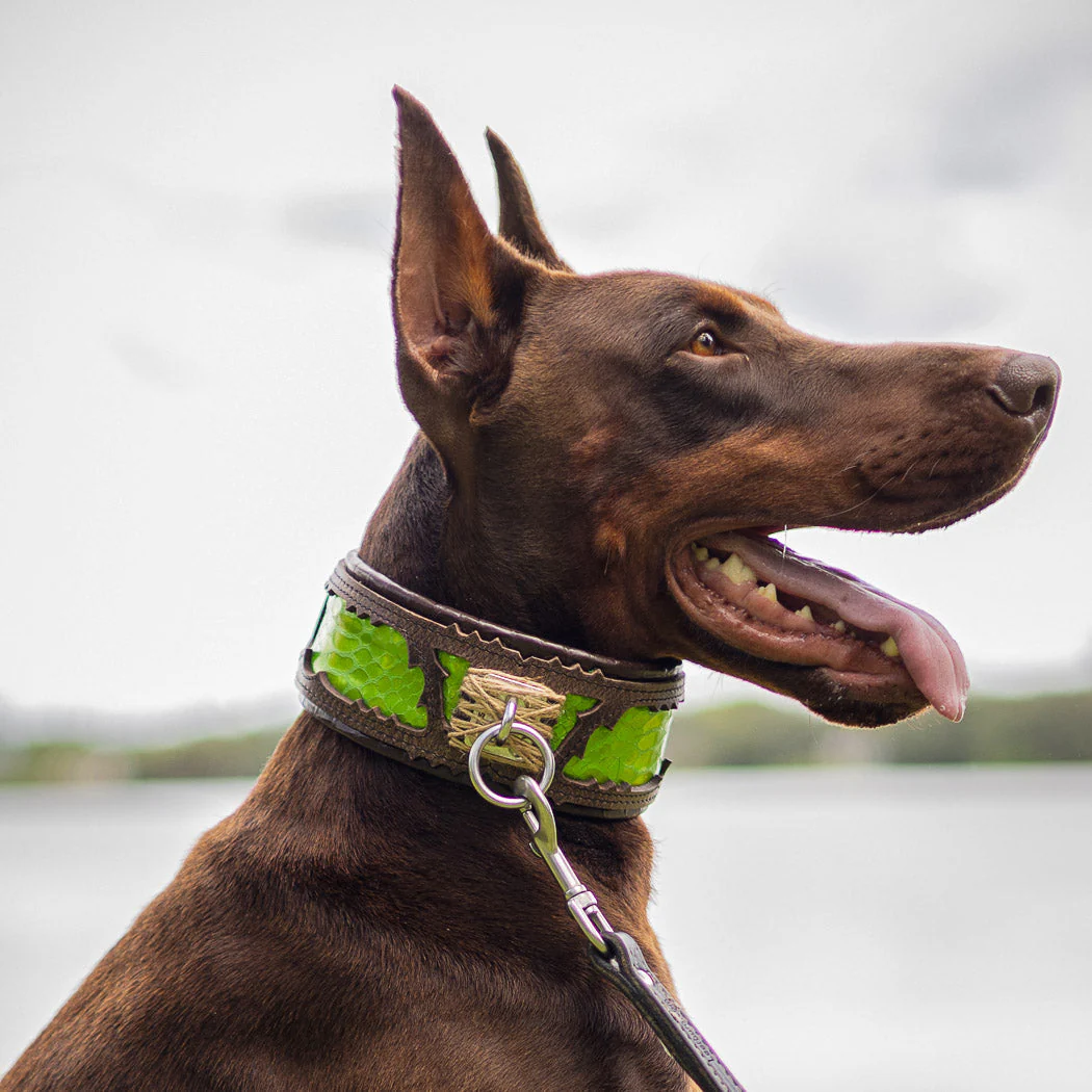 Bestia Dog Gear Genuine Leather Dog Collar - Black - Image 4