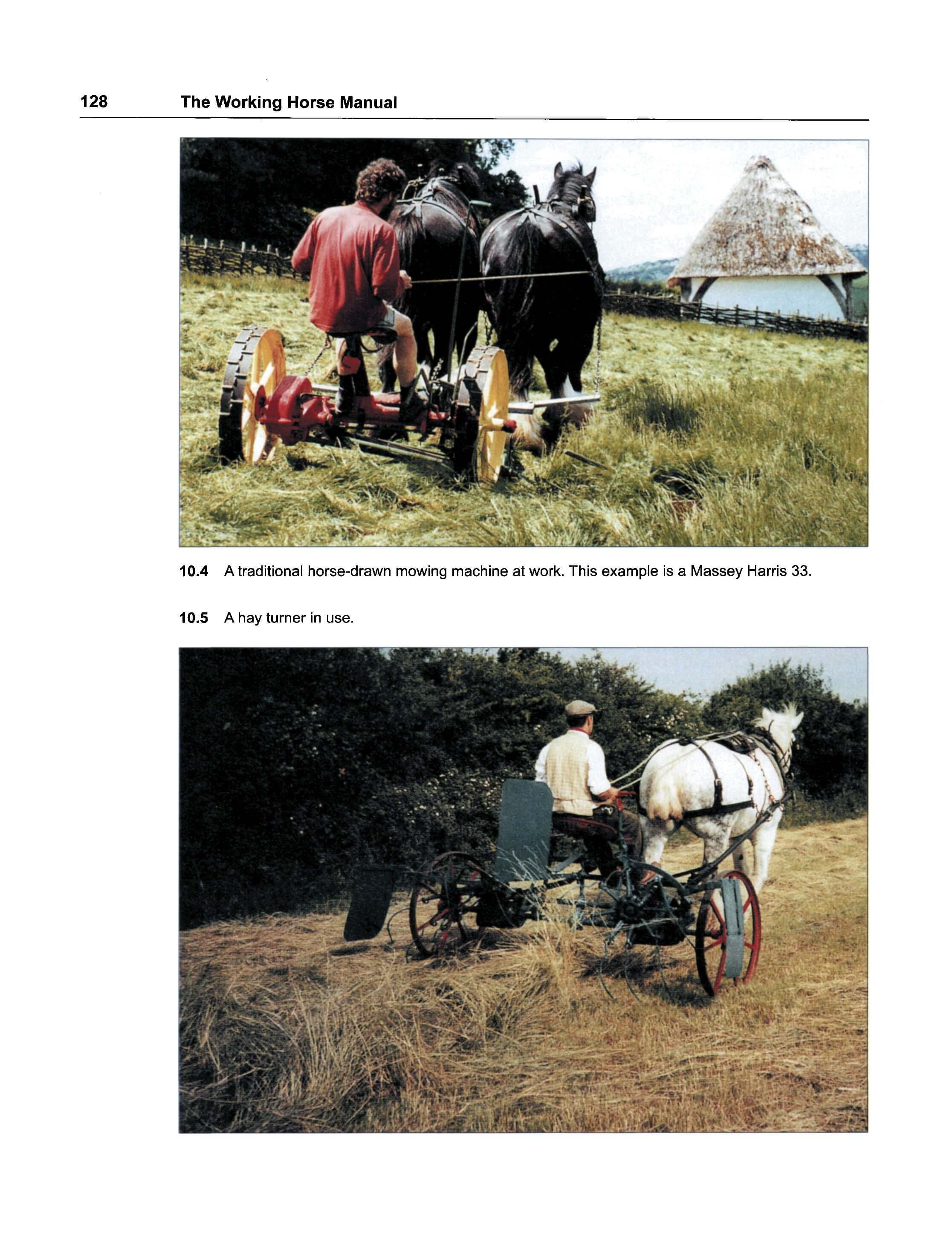 The Working Horse Manual - Image 3