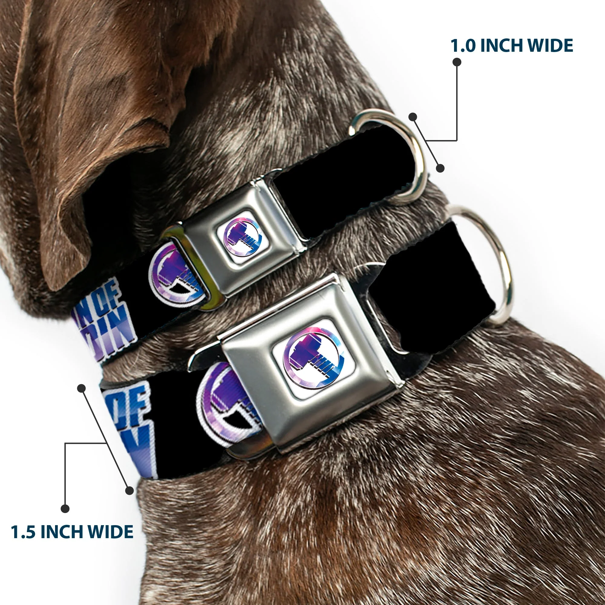 Thor Hamer Icon Full Color White/Blues Seatbelt Buckle Collar - Thor SON OF ODIN/Hamner Icon Black/White/Blues - Image 2