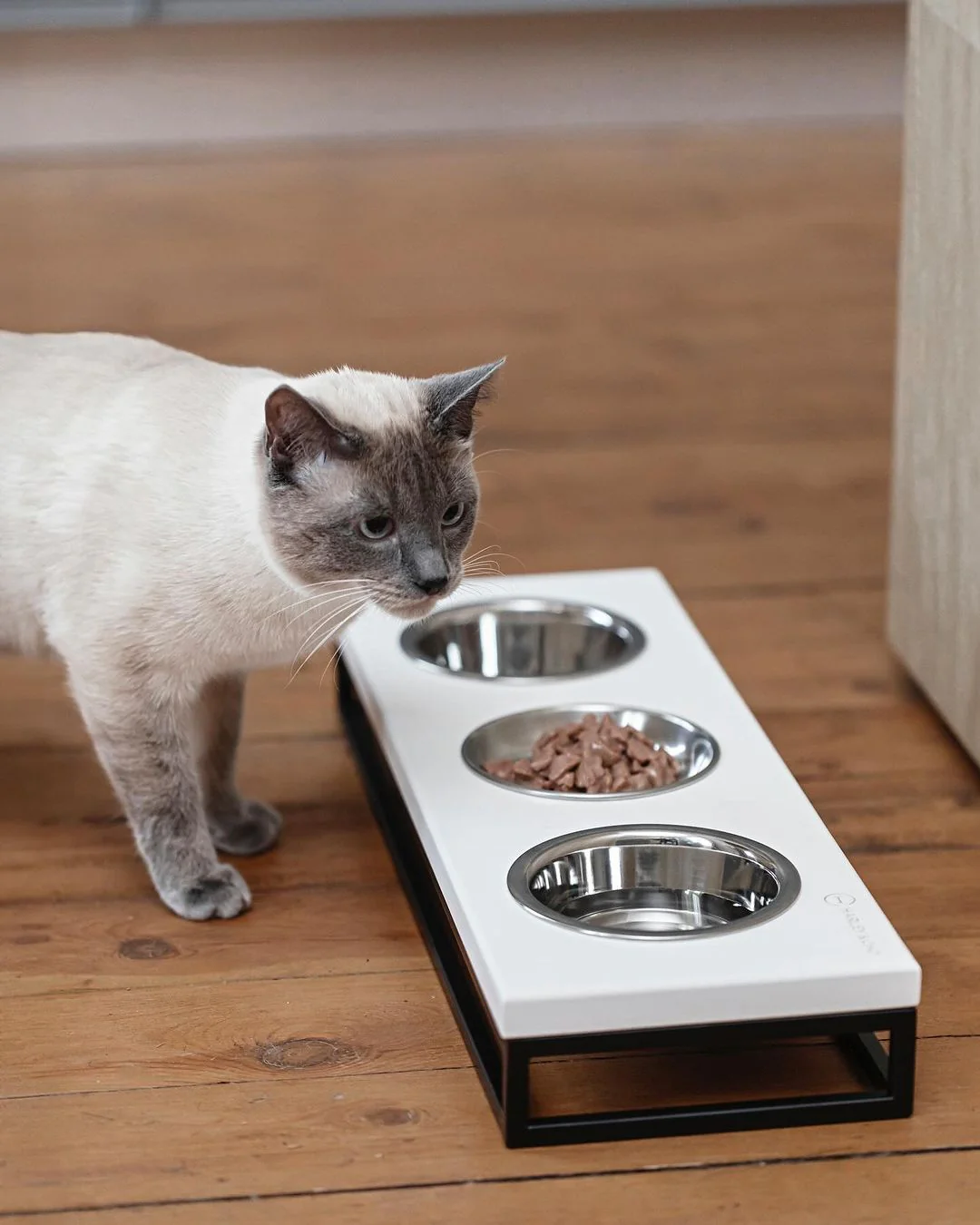 Three Bowls Lunch Bar for Cats - Image 13